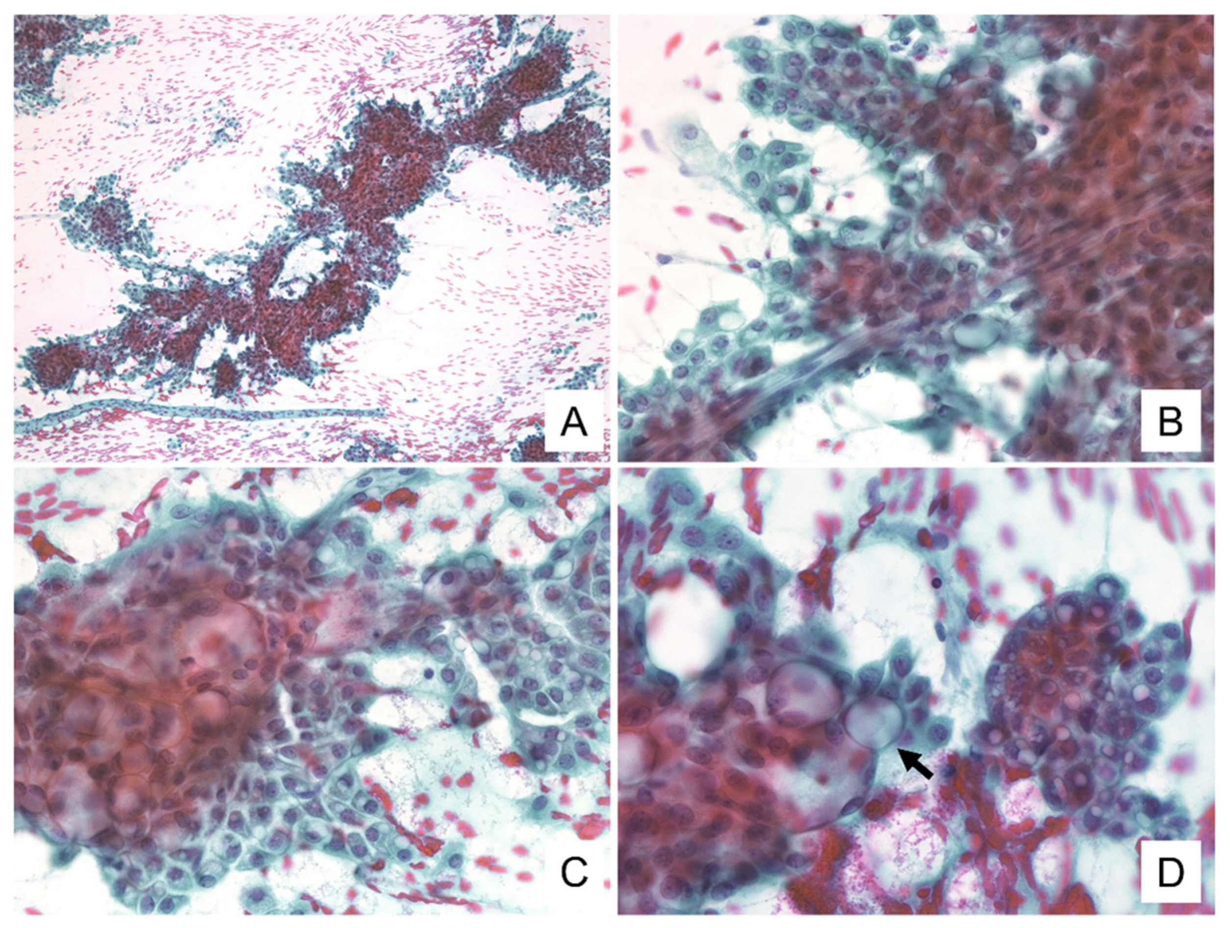 Diagnostics 11 02284 g001 Diagnostics 11 02284 g001