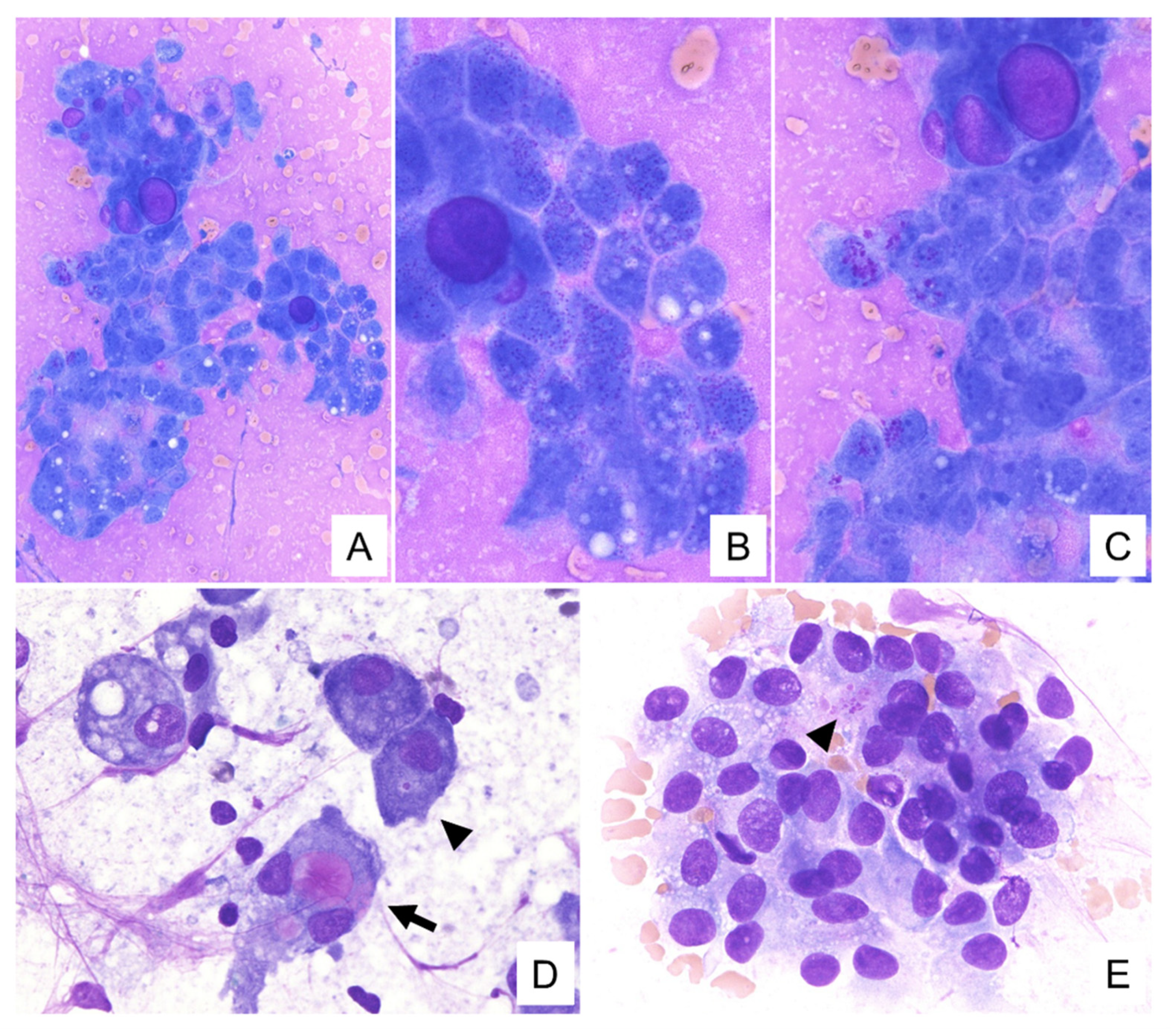 Diagnostics 11 02284 g003 Diagnostics 11 02284 g003