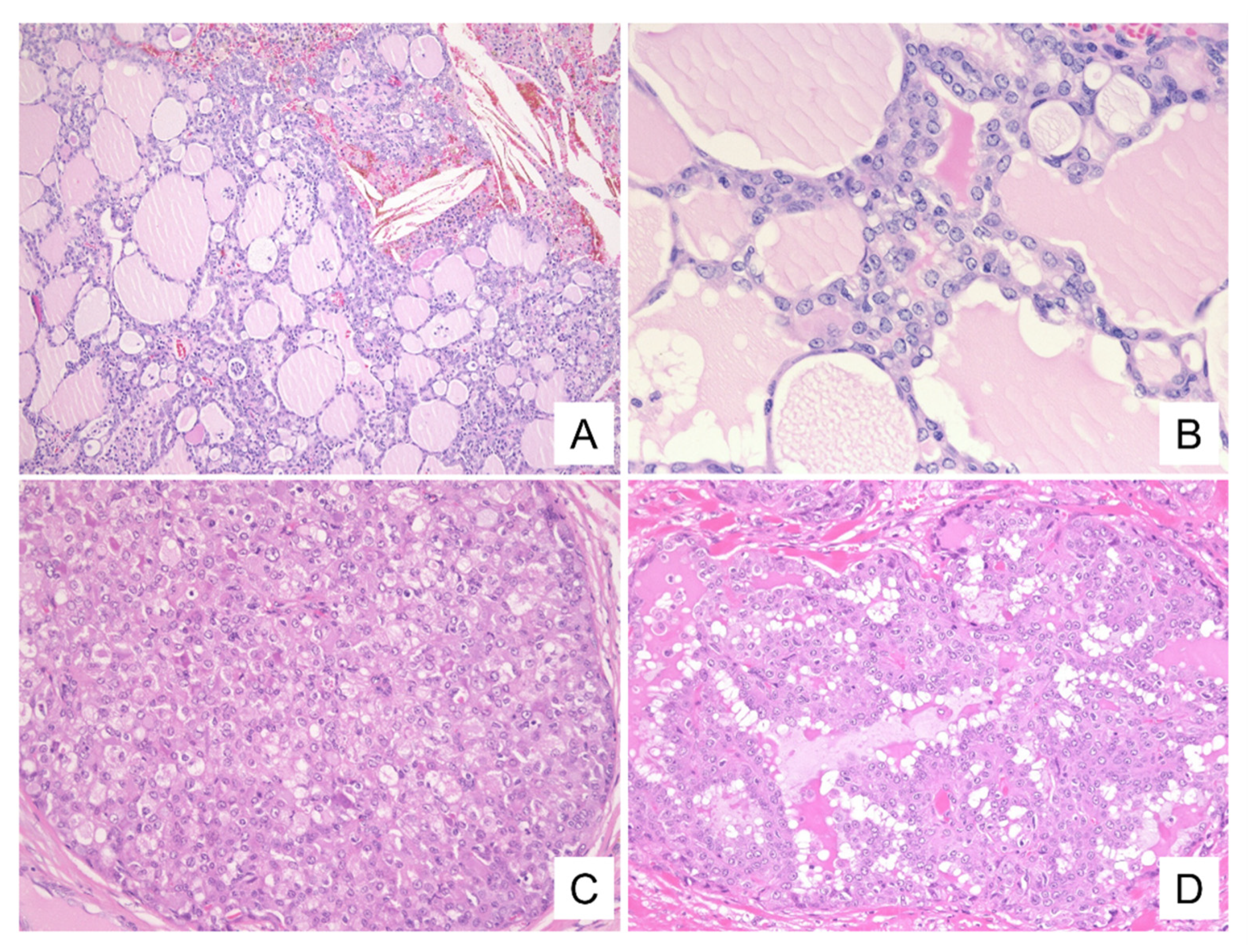 Diagnostics 11 02284 g004 Diagnostics 11 02284 g004