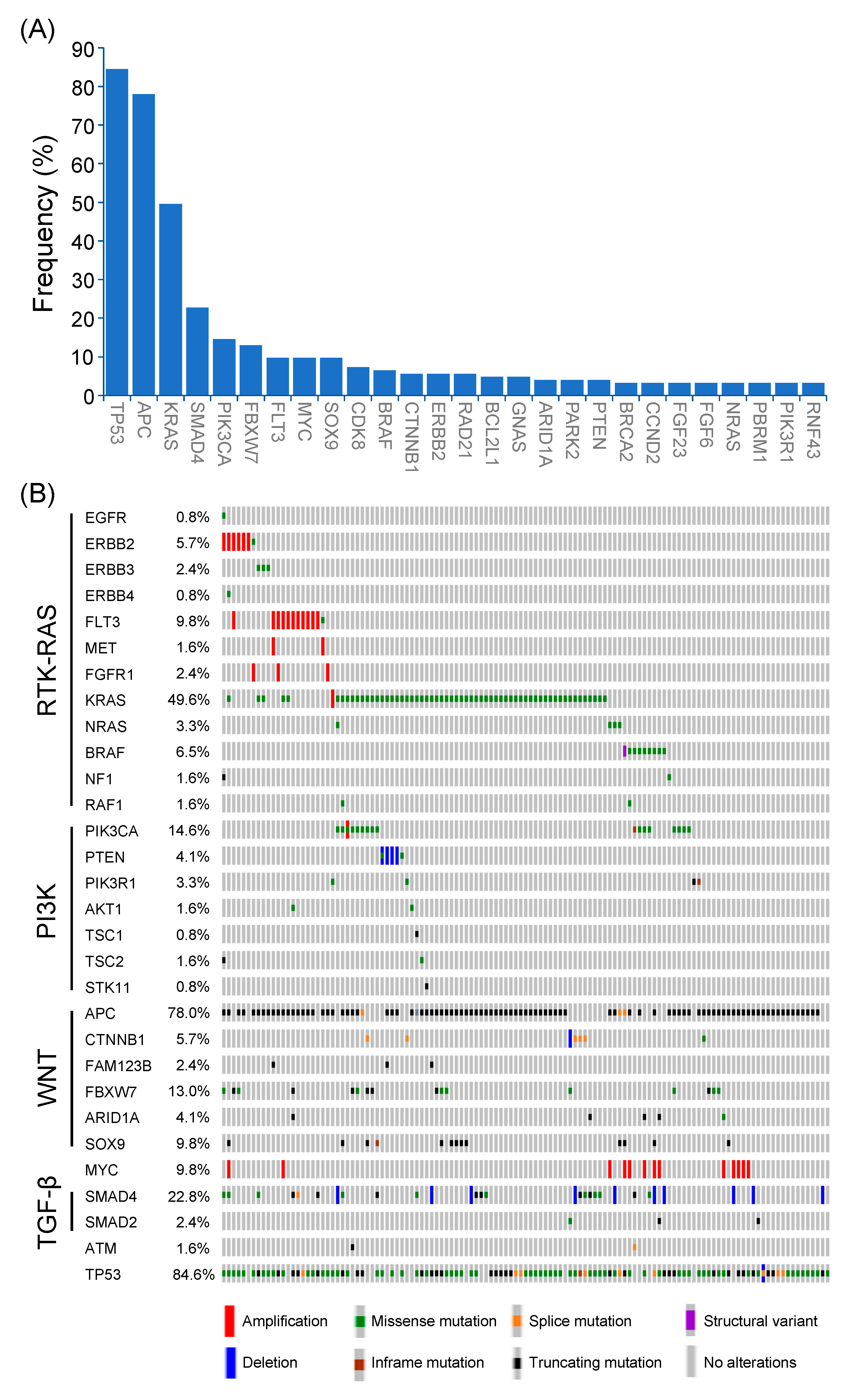 Diagnostics 11 02308 g002