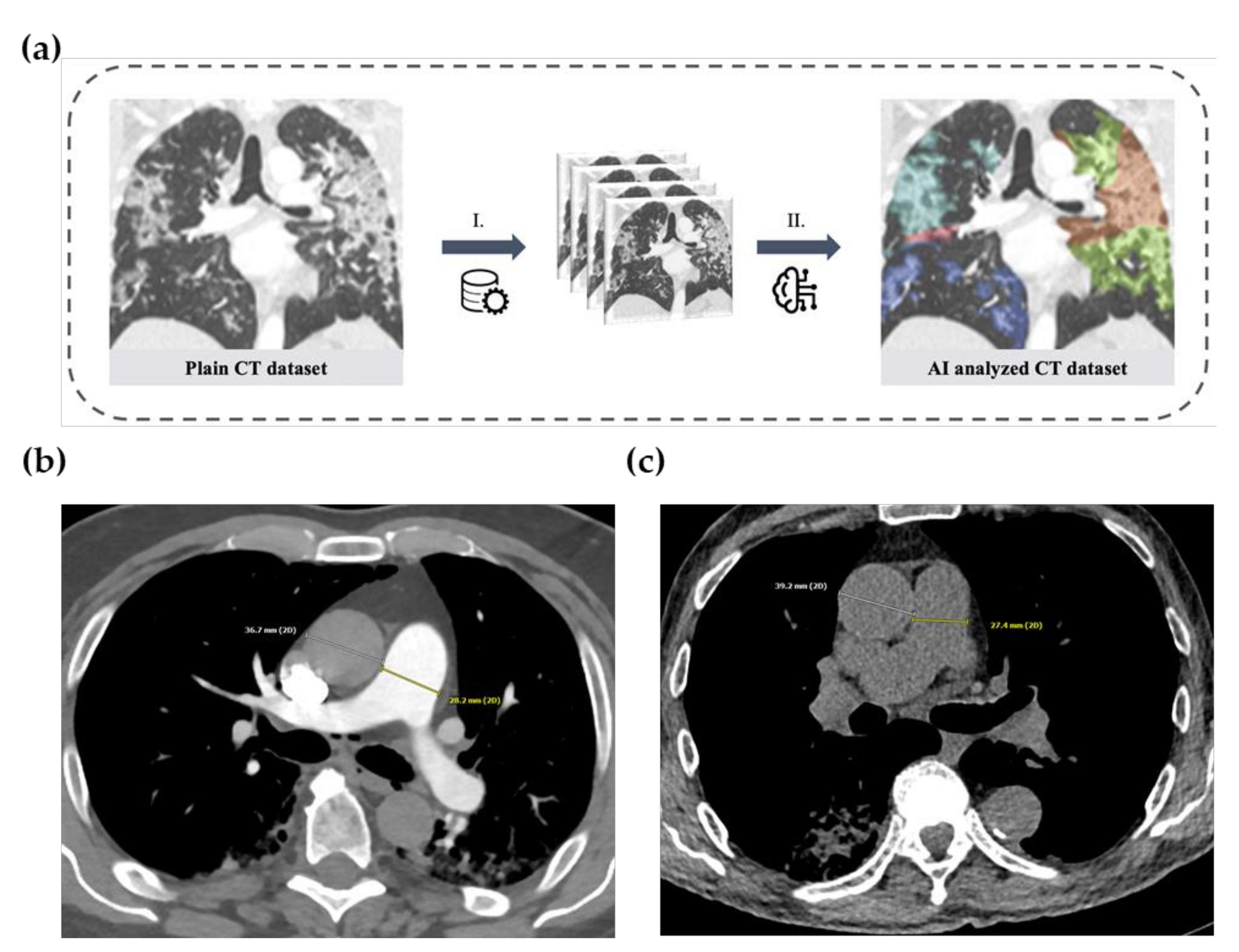 Diagnostics 12 00010 g002