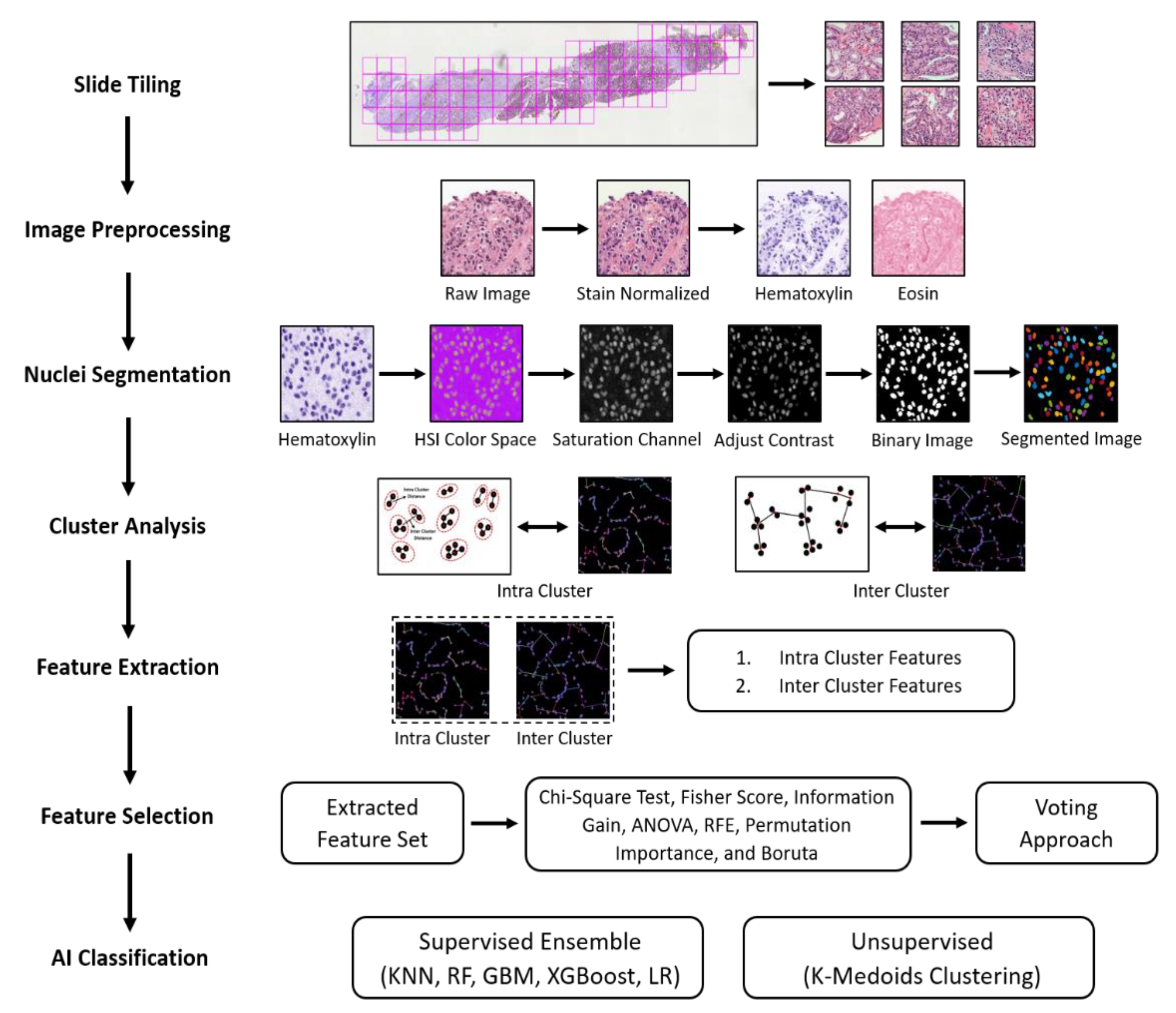 Diagnostics 12 00015 g002 Diagnostics 12 00015 g002