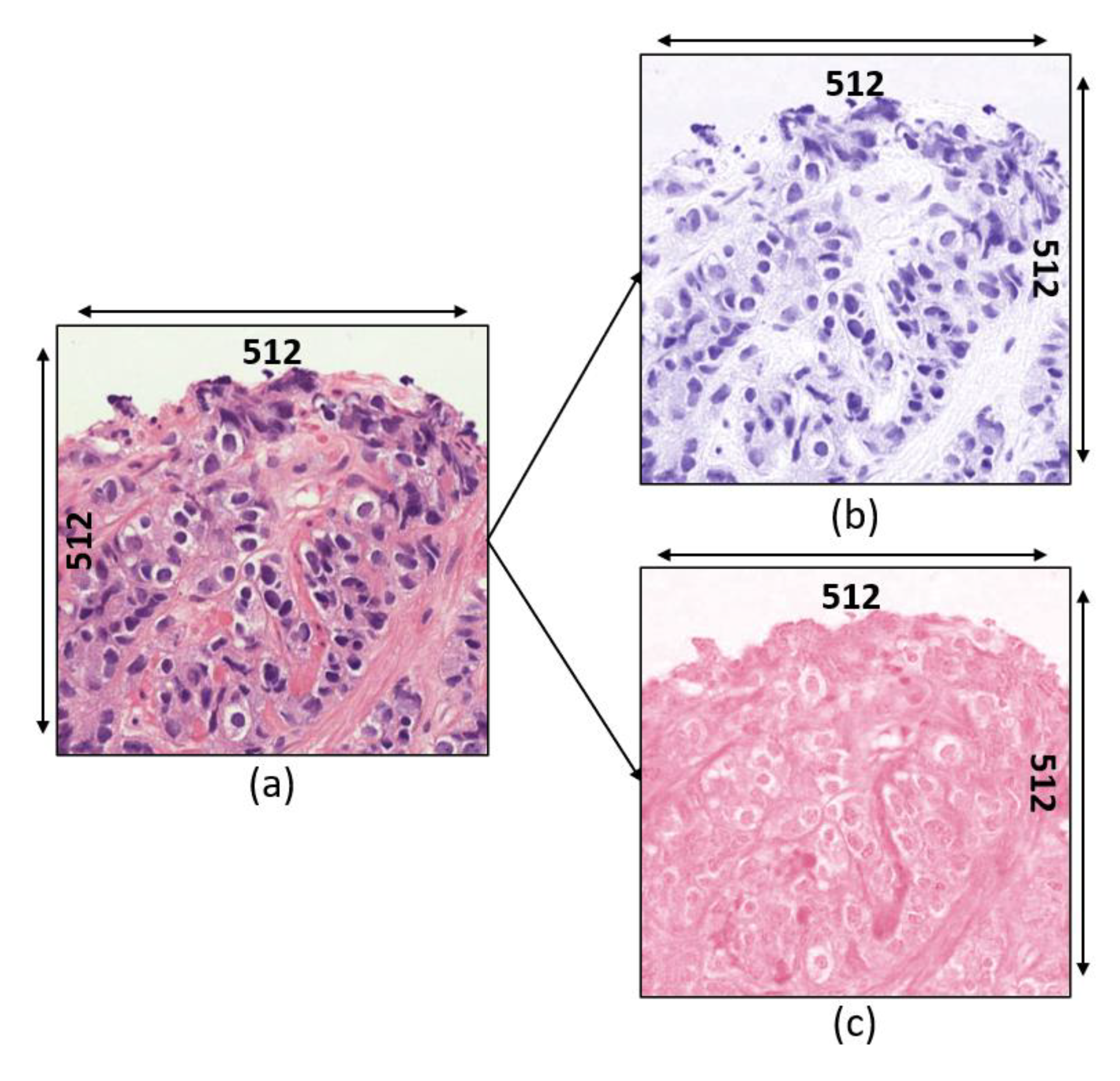 Diagnostics 12 00015 g004 Diagnostics 12 00015 g004