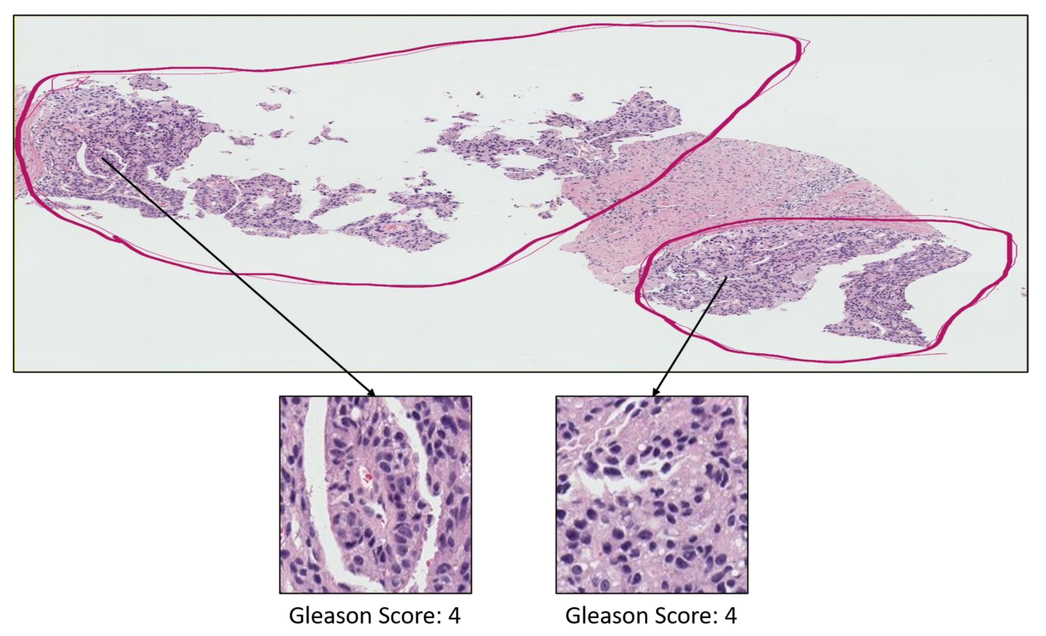Diagnostics 12 00015 g0a2 Diagnostics 12 00015 g0a2