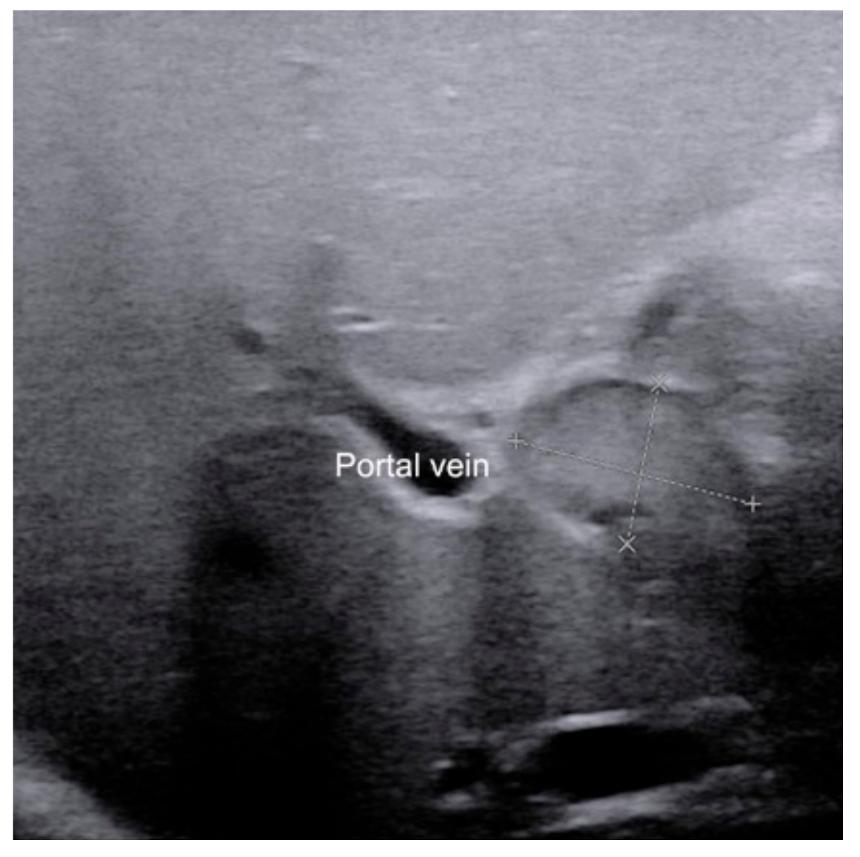 Diagnostics 12 00051 g004