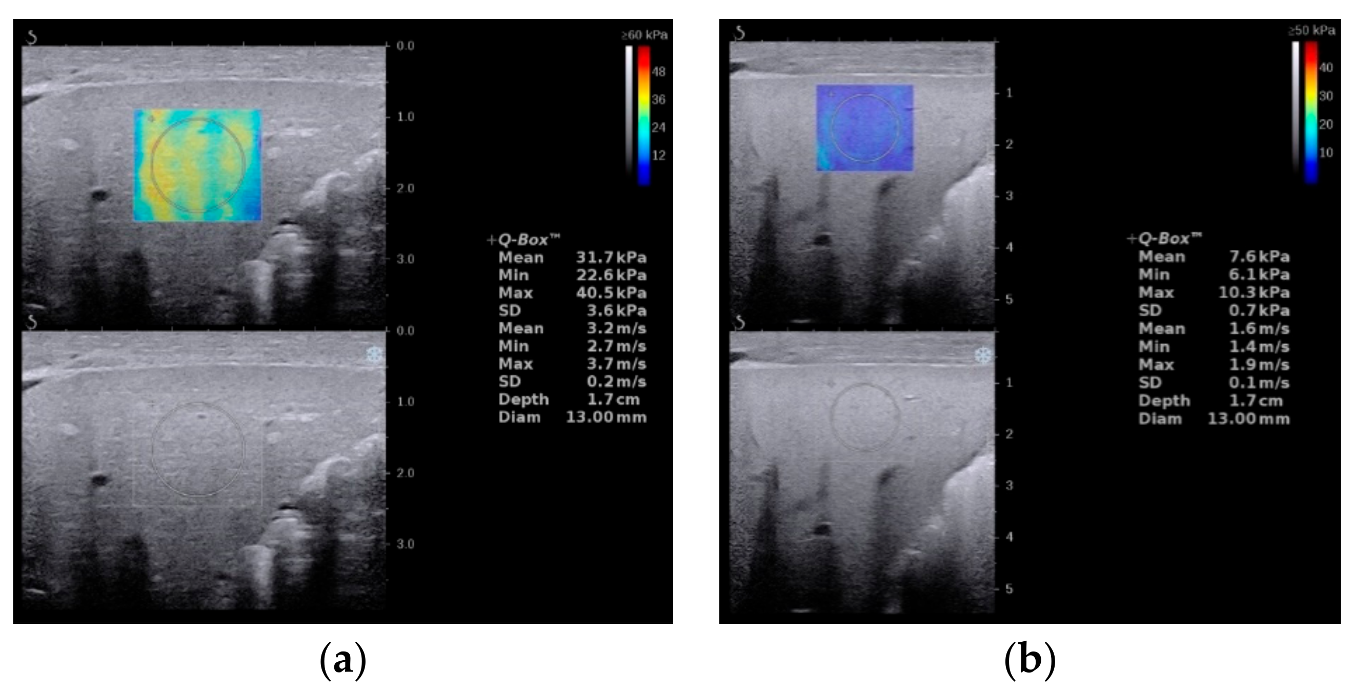 Diagnostics 12 00051 g007