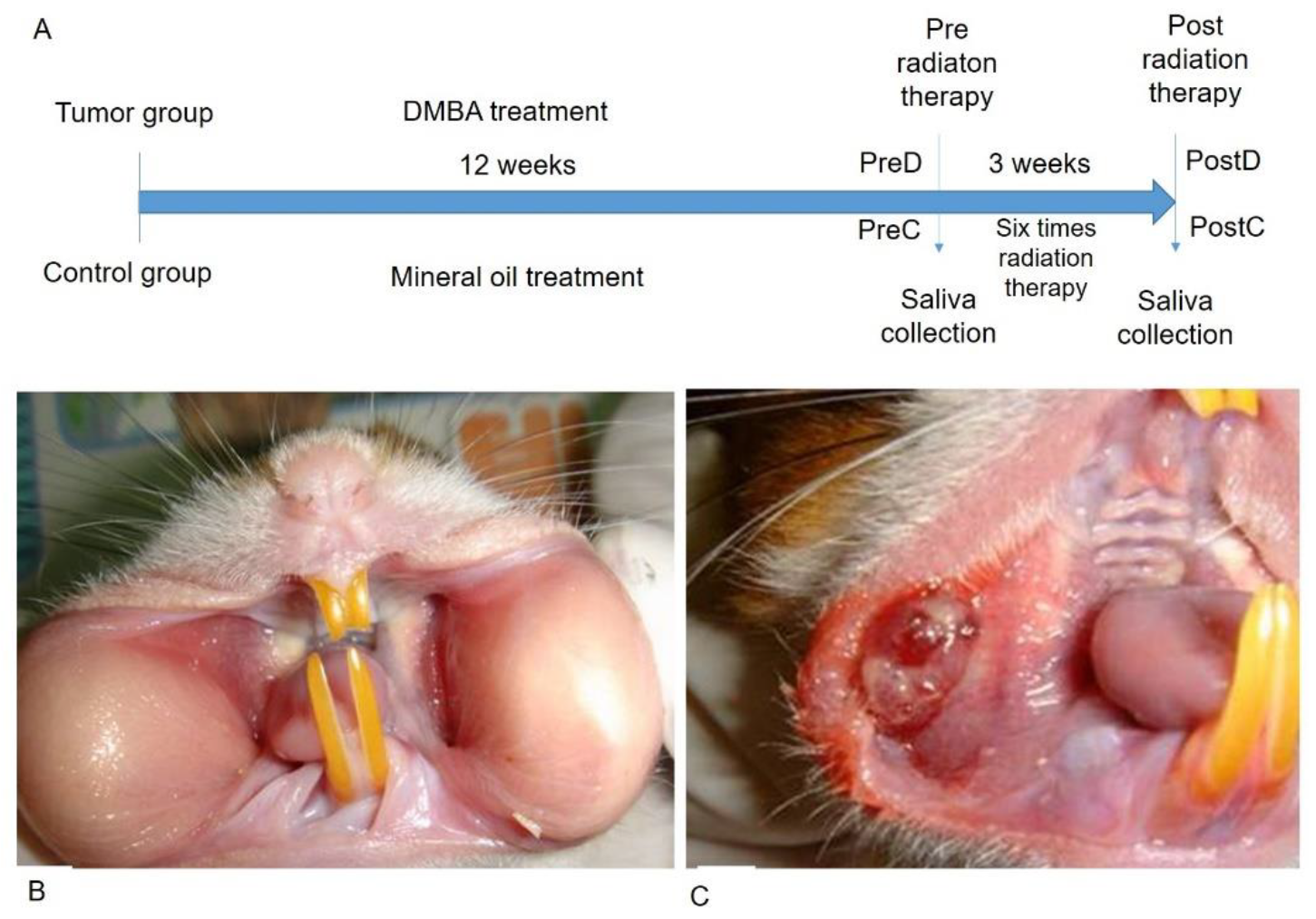 Diagnostics 12 00065 g001 Diagnostics 12 00065 g001