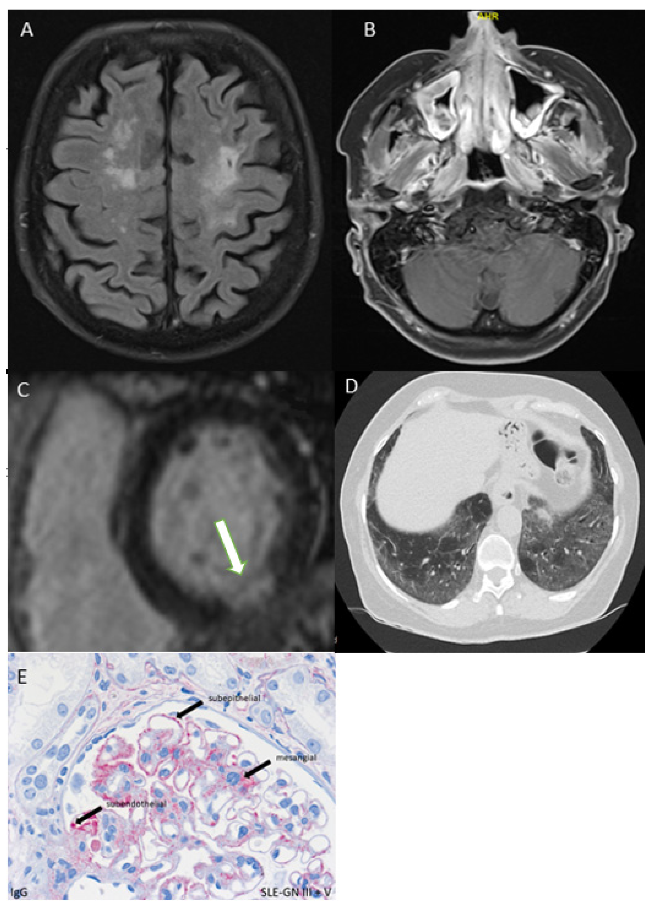 Diagnostics 12 00067 g003