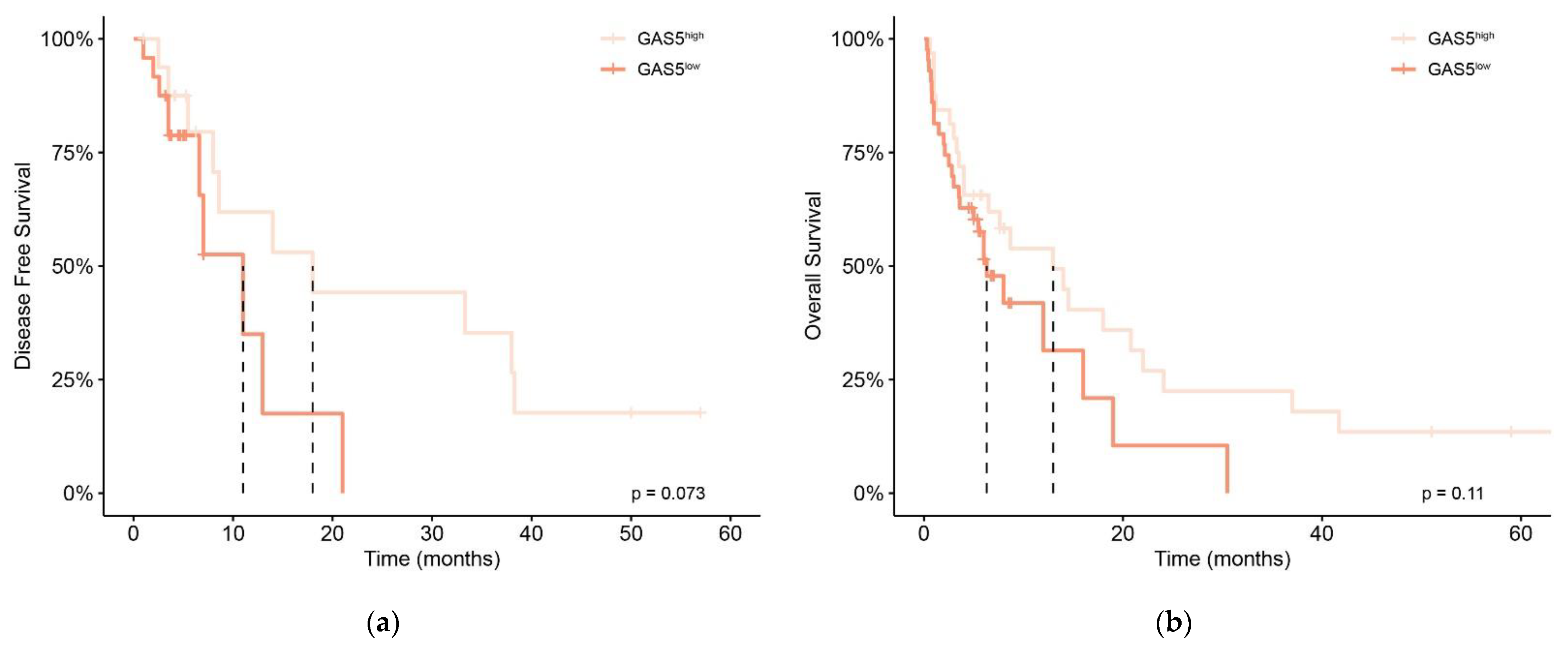 Diagnostics 12 00086 g002