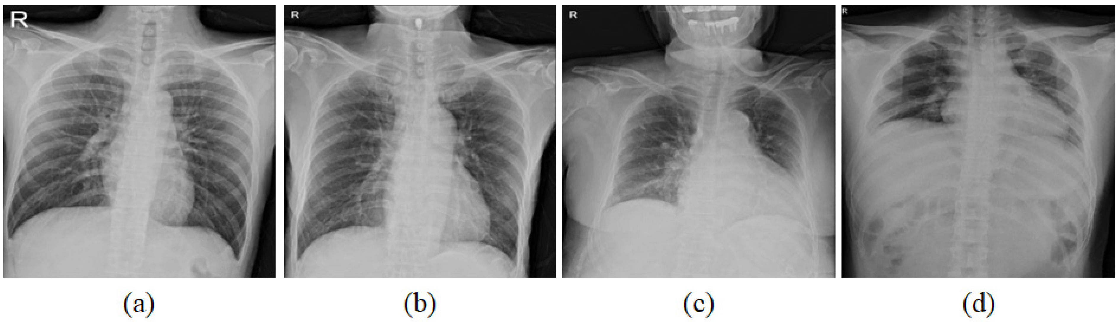 Diagnostics 12 00101 g002