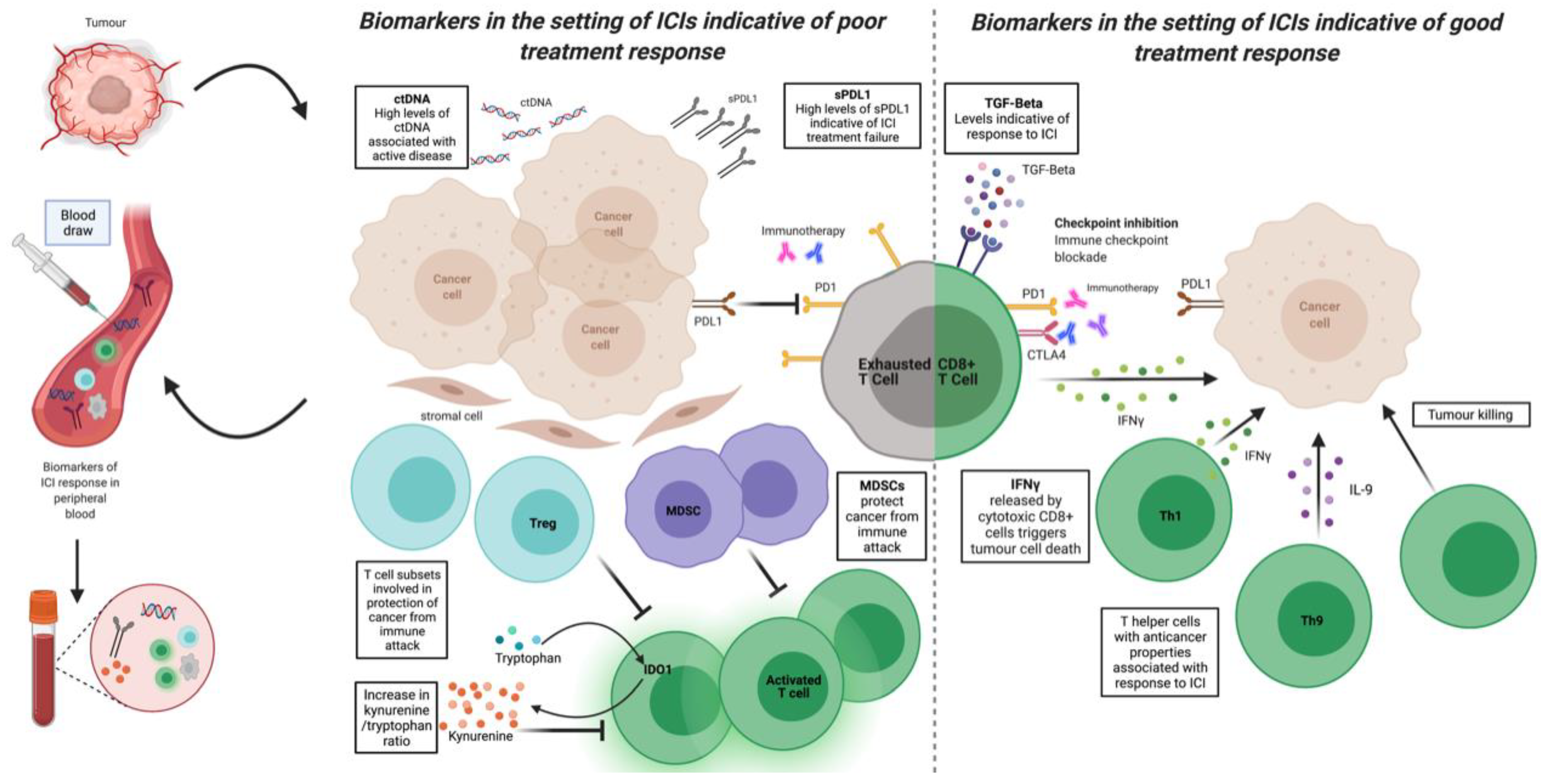 Diagnostics | Free Full-Text | Cancer Immunotherapy with Immune Checkpoint  Inhibitors-Biomarkers of Response and Toxicity; Current Limitations and  Future Promise