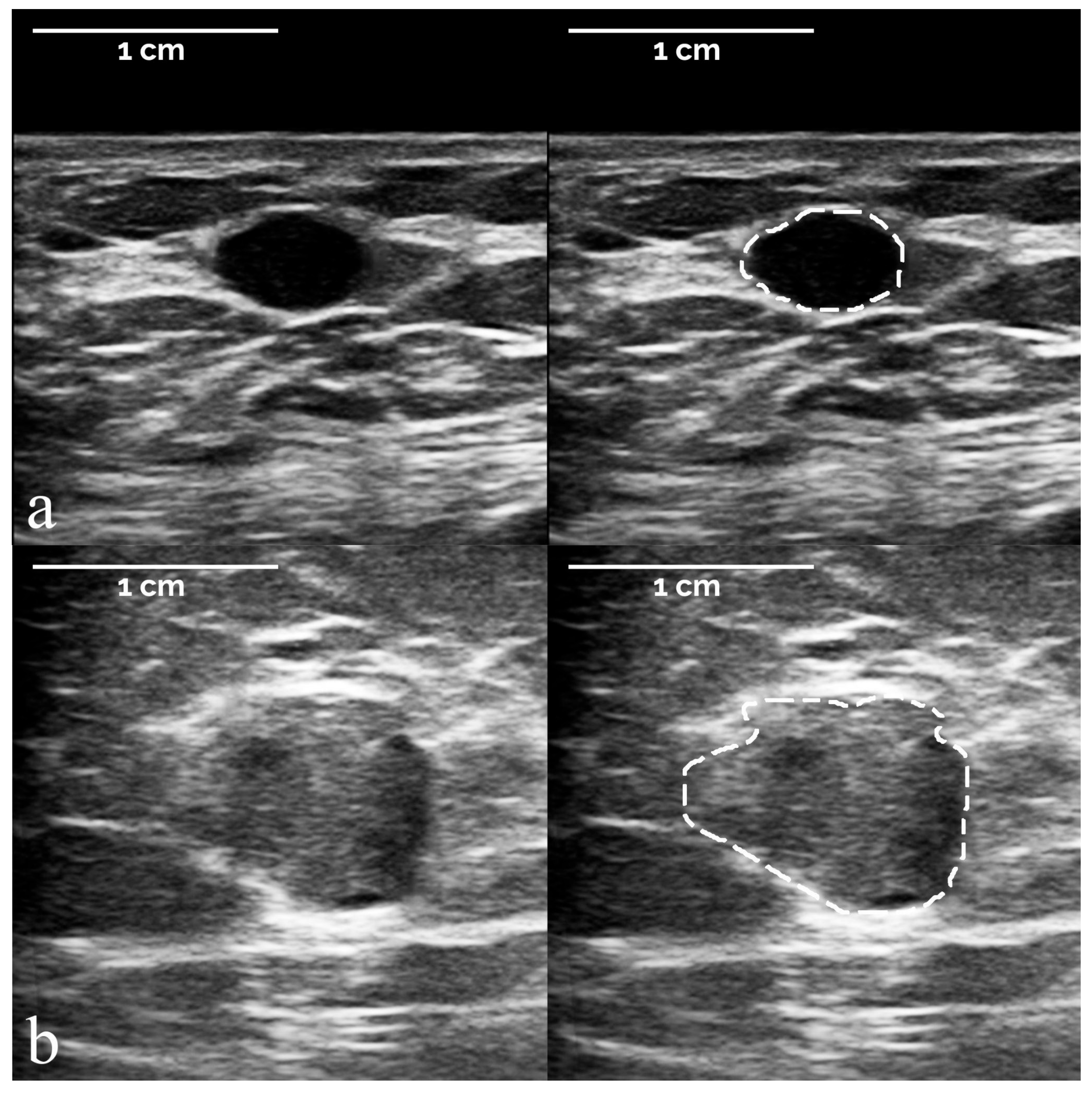 Diagnostics 12 00187 g003