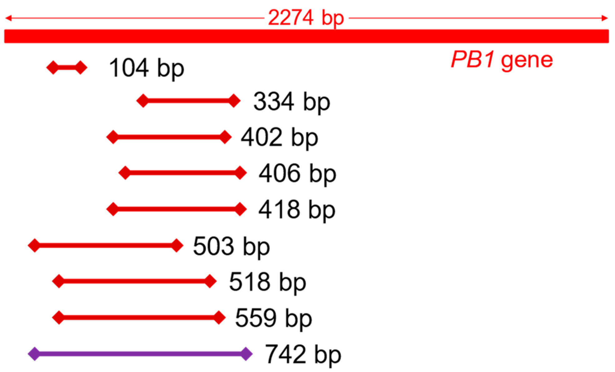 Diagnostics 12 00196 g001