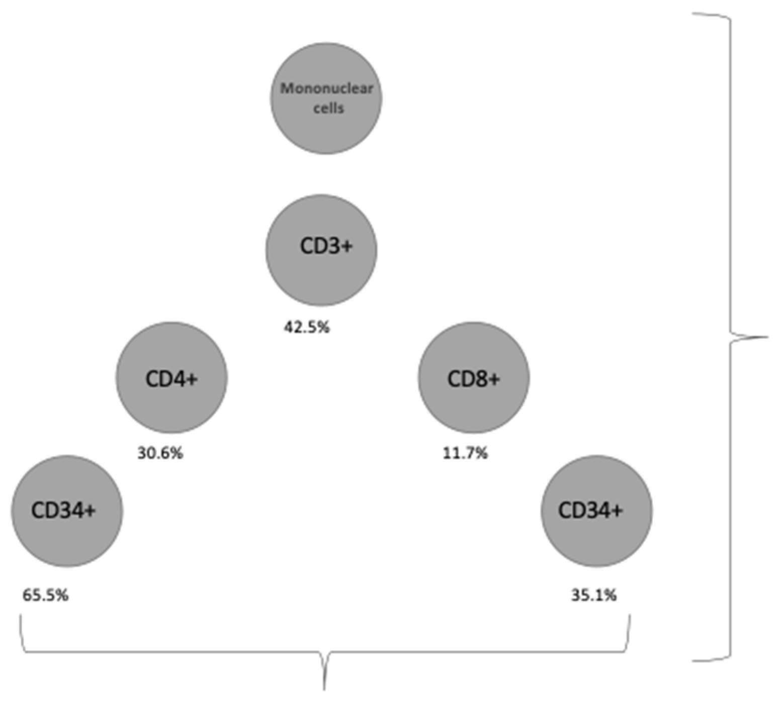Diagnostics 12 00245 g003 Diagnostics 12 00245 g003