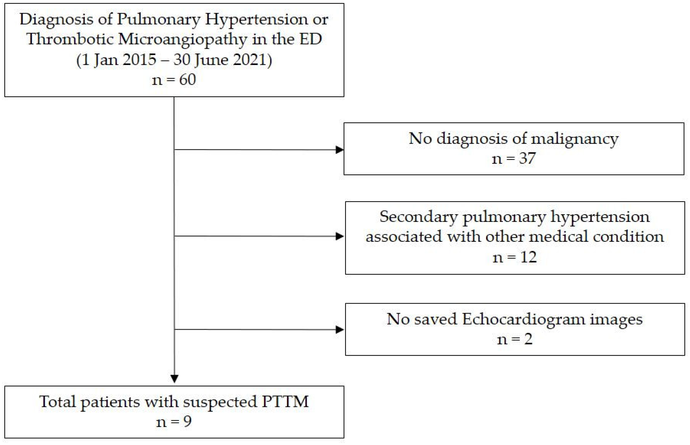 Diagnostics | Free Full-Text | Echocardiographic Assessment of Patients  with Pulmonary Tumor Thrombotic Microangiopathy First Diagnosed in the  Emergency Department