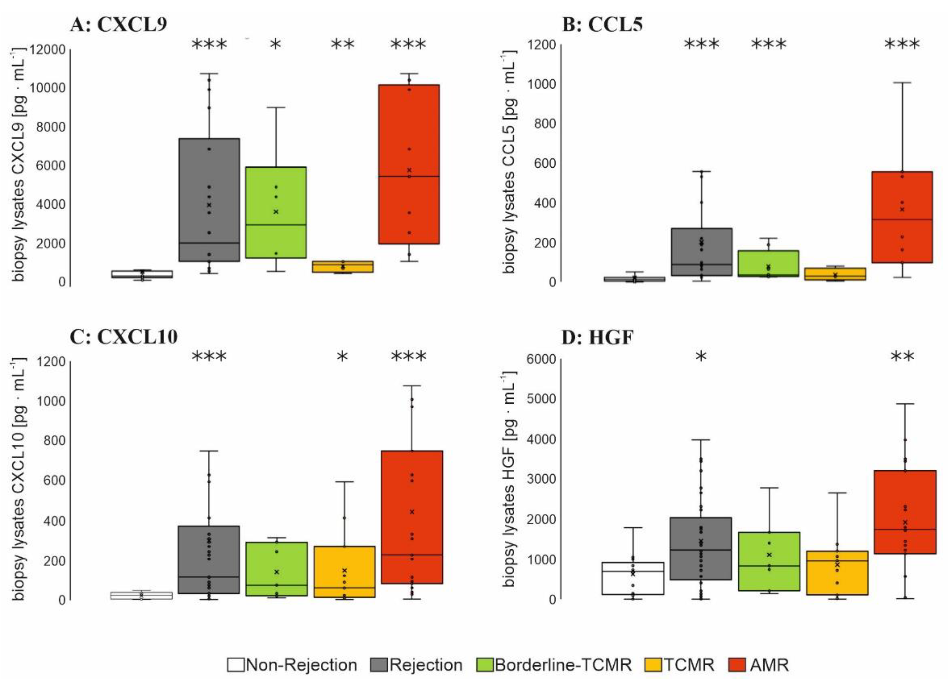 Diagnostics 12 00308 g003