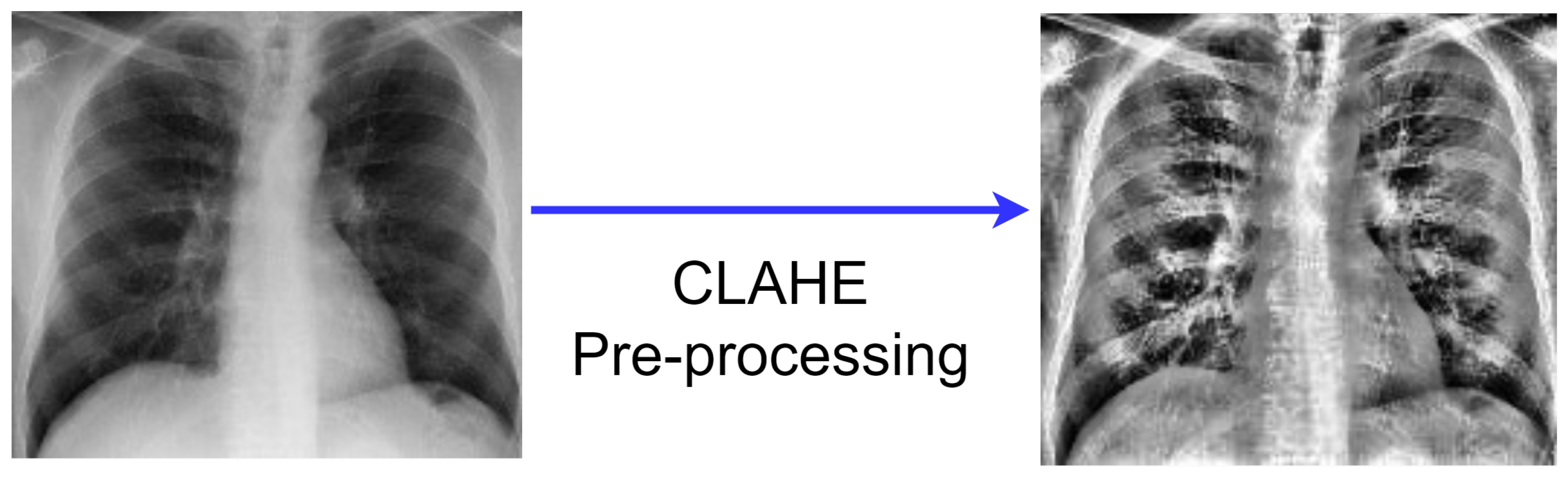 Diagnostics 12 00325 g003