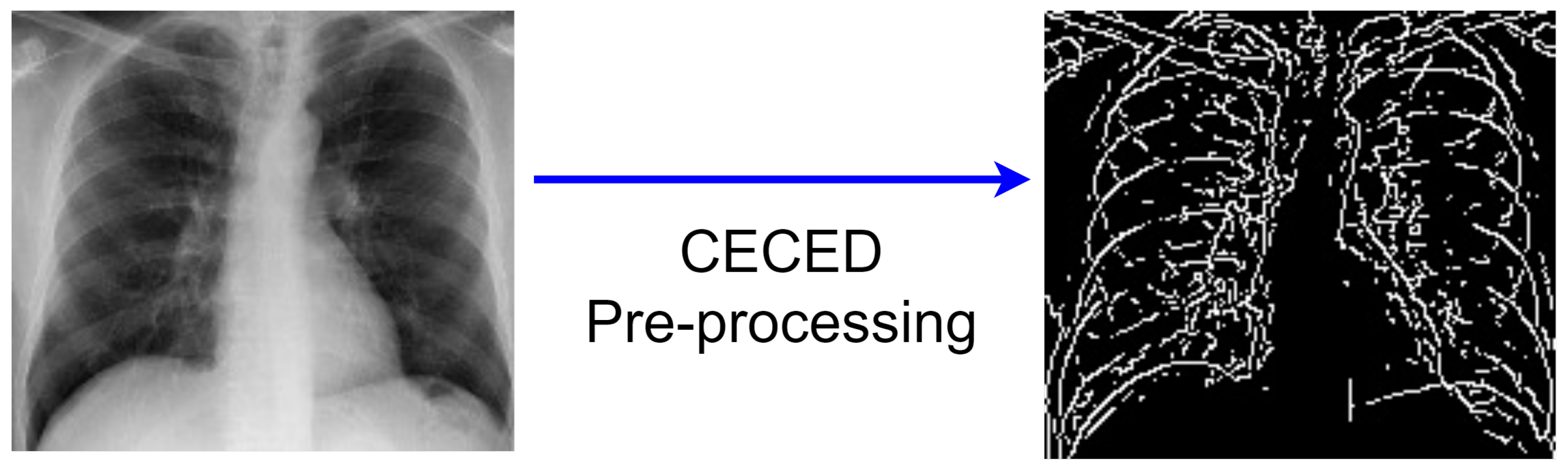 Diagnostics 12 00325 g004