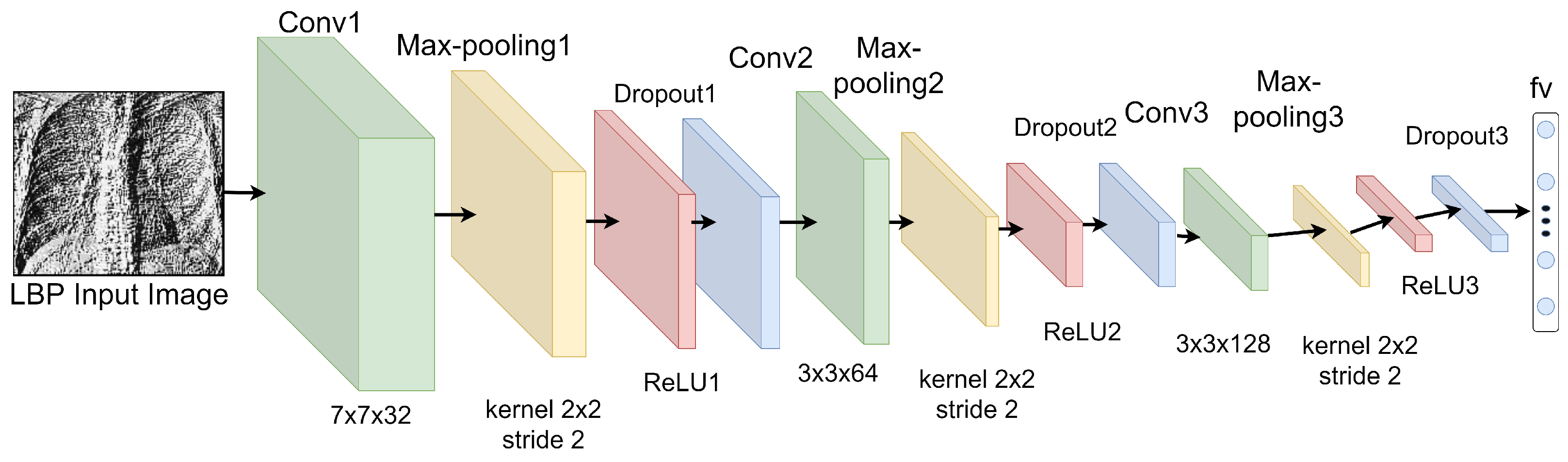Diagnostics 12 00325 g005