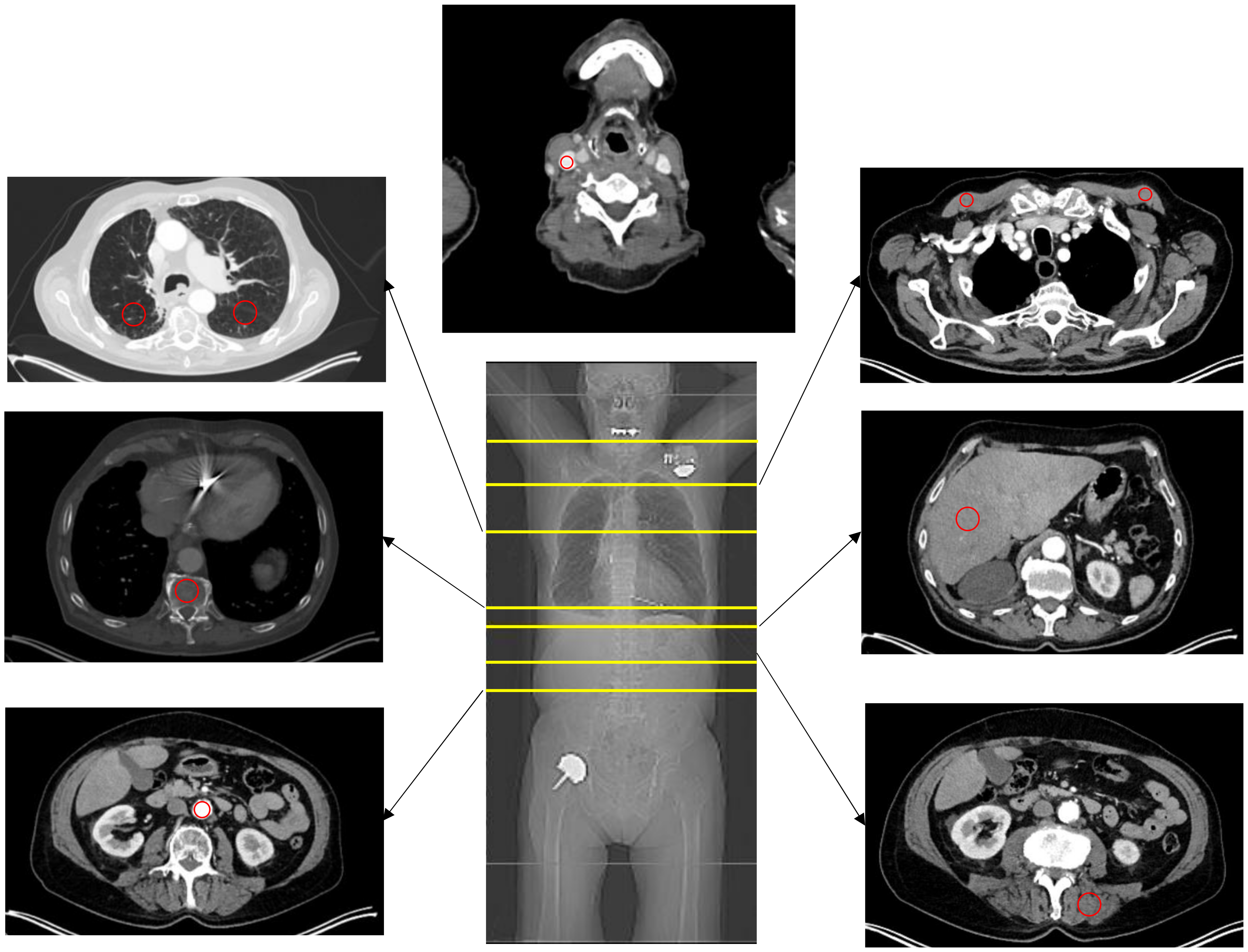 Diagnostics 12 00375 g002