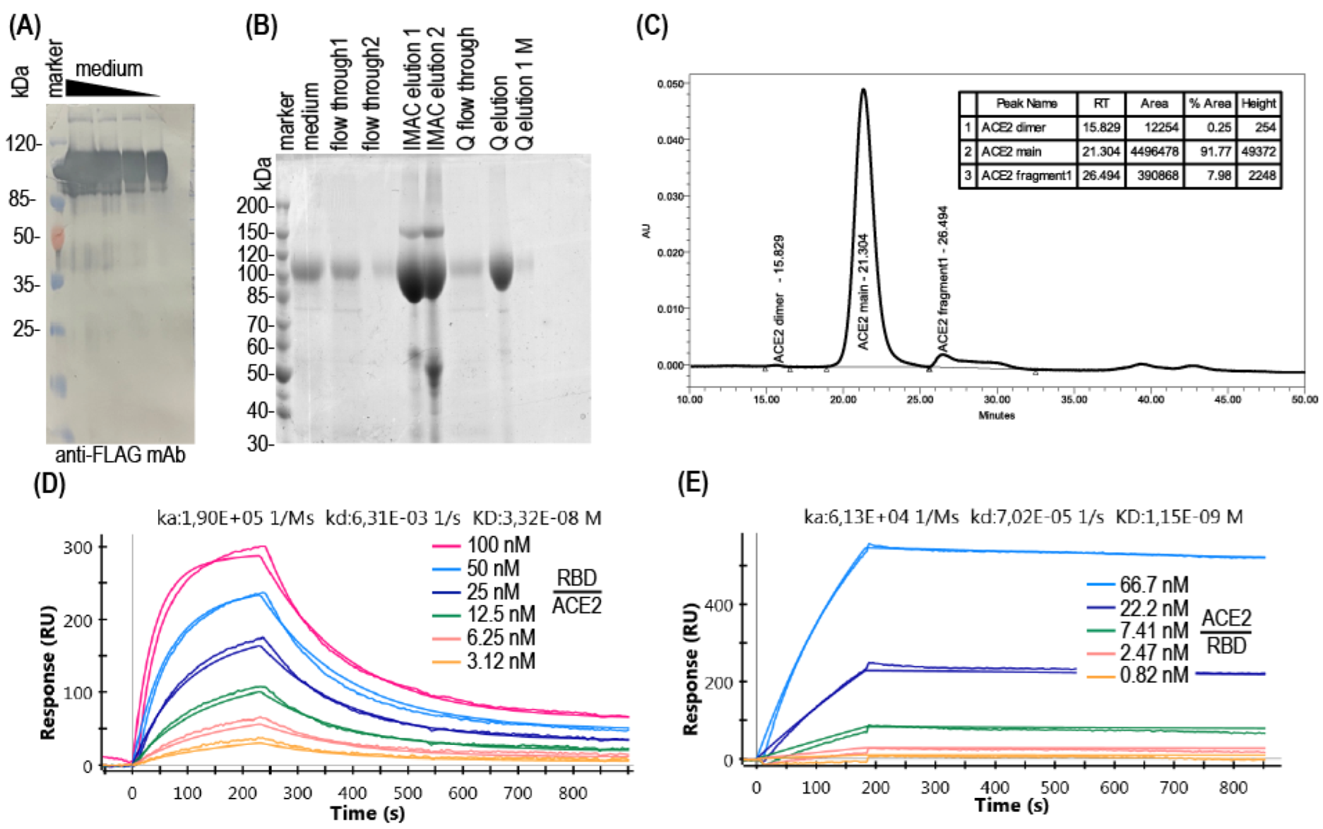Diagnostics 12 00393 g002