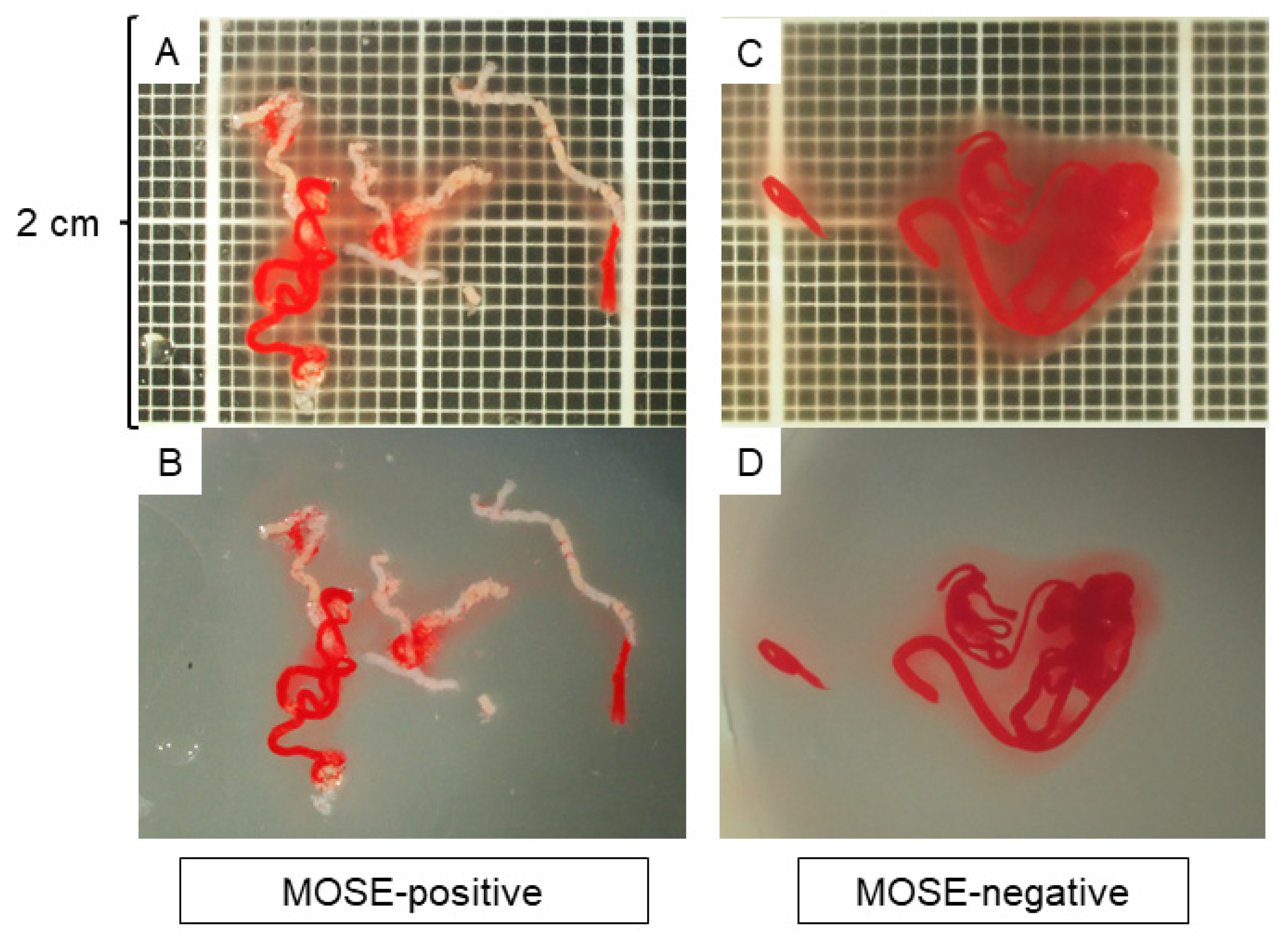 Diagnostics 12 00434 g001
