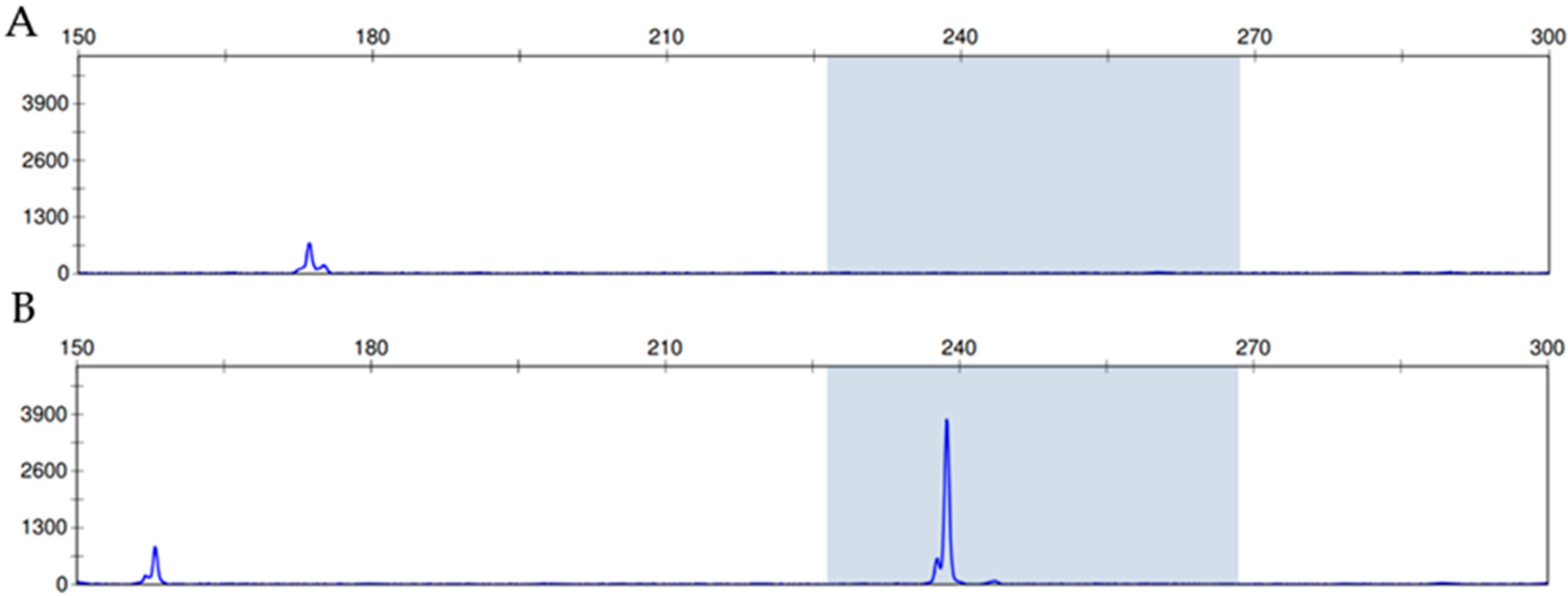 Diagnostics 12 00454 g002