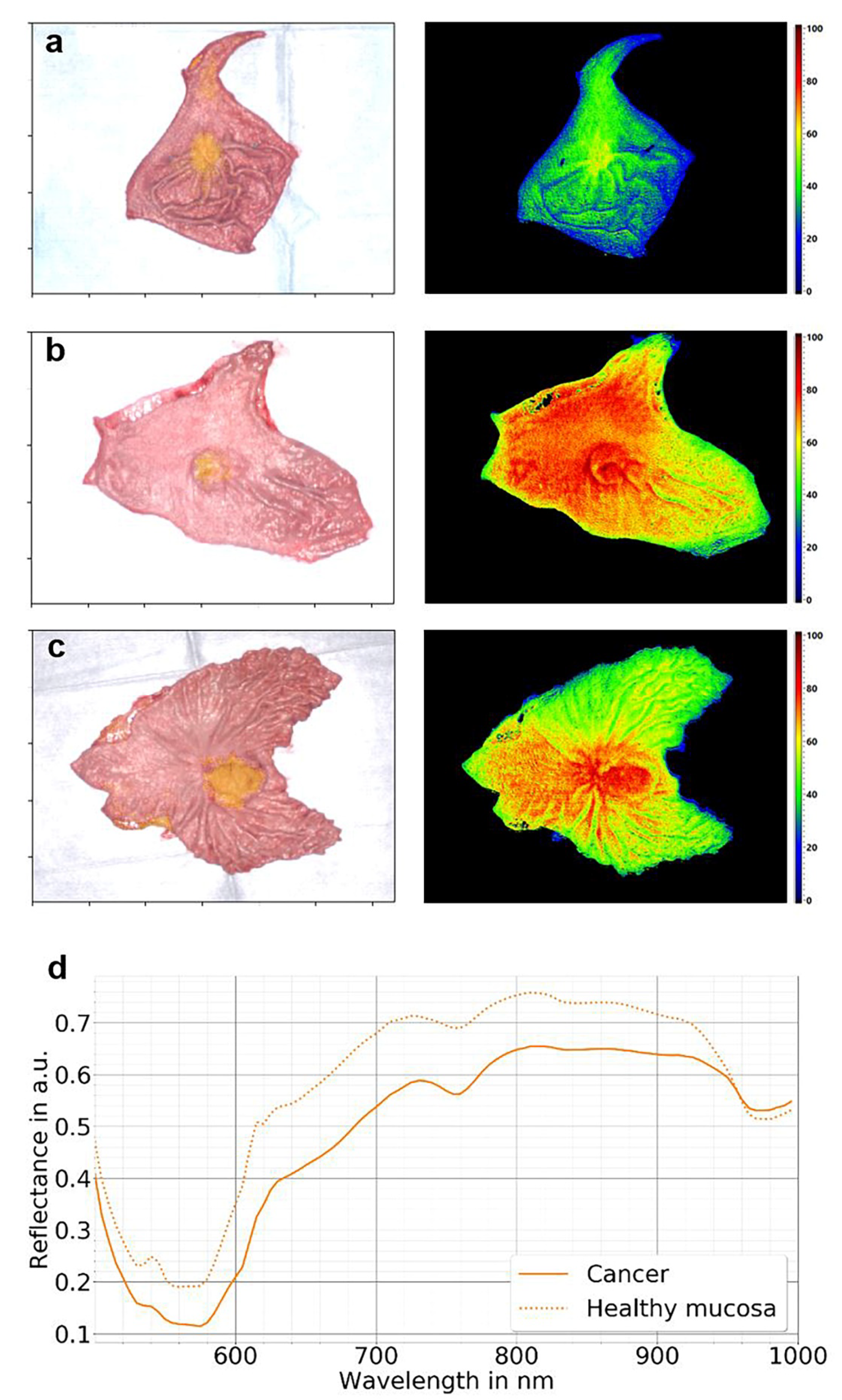 Diagnostics 12 00507 g003