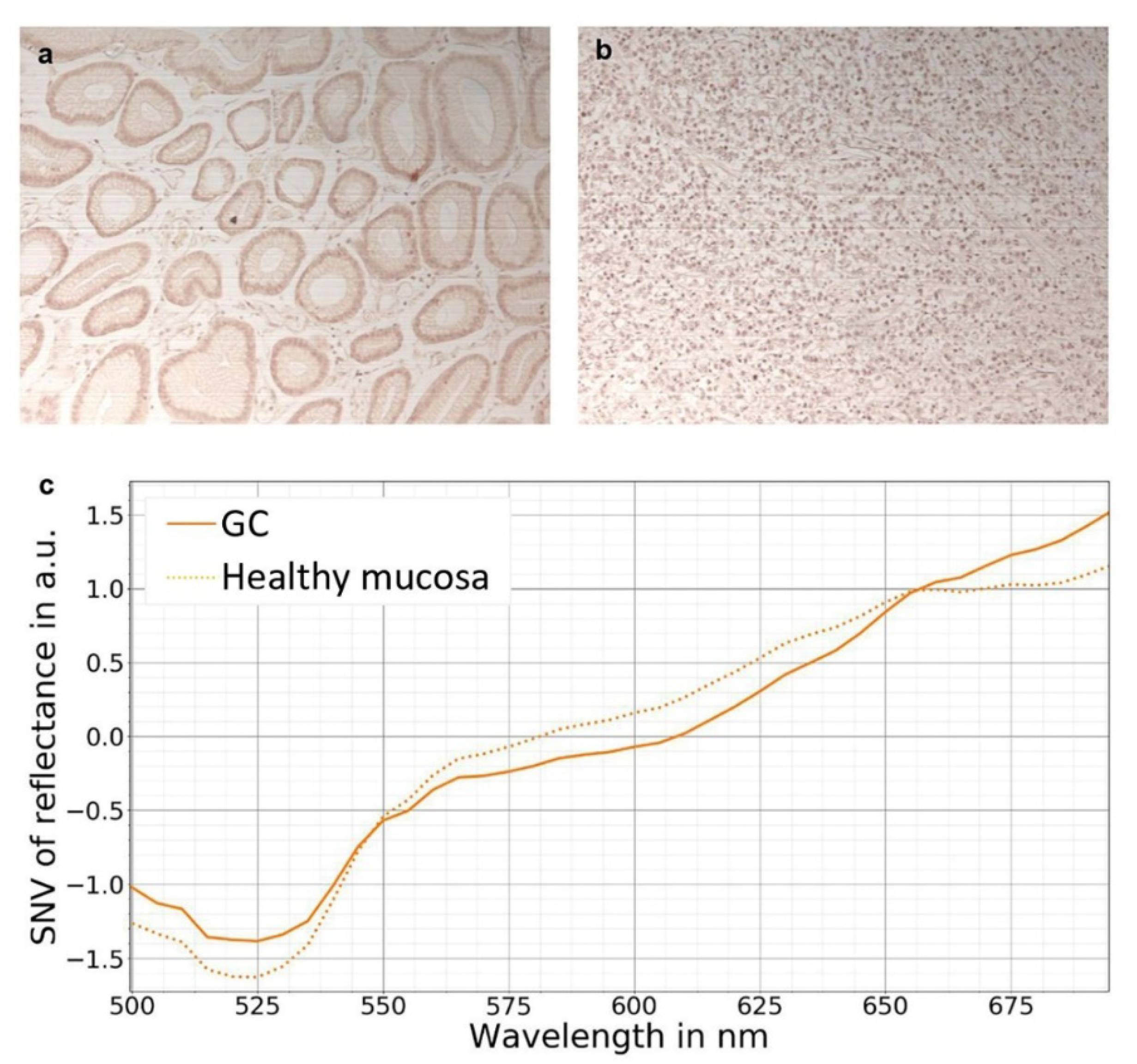Diagnostics 12 00507 g004