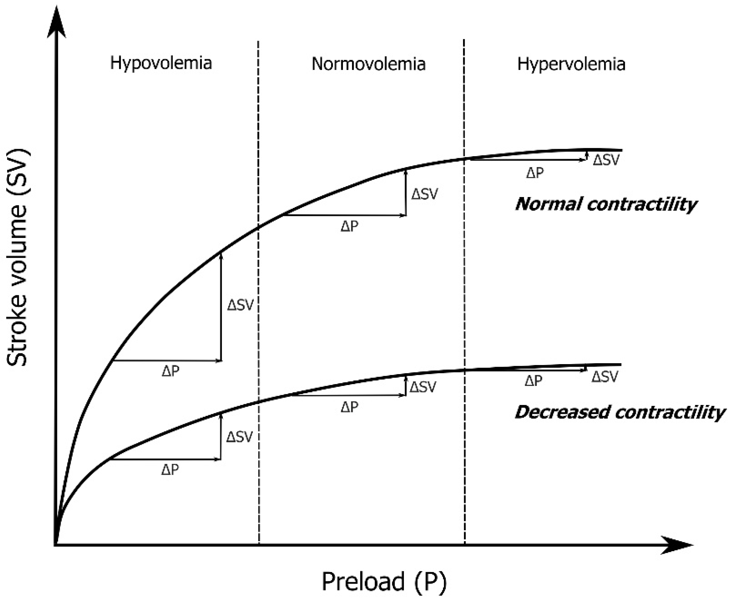 Diagnostics 12 00513 g001