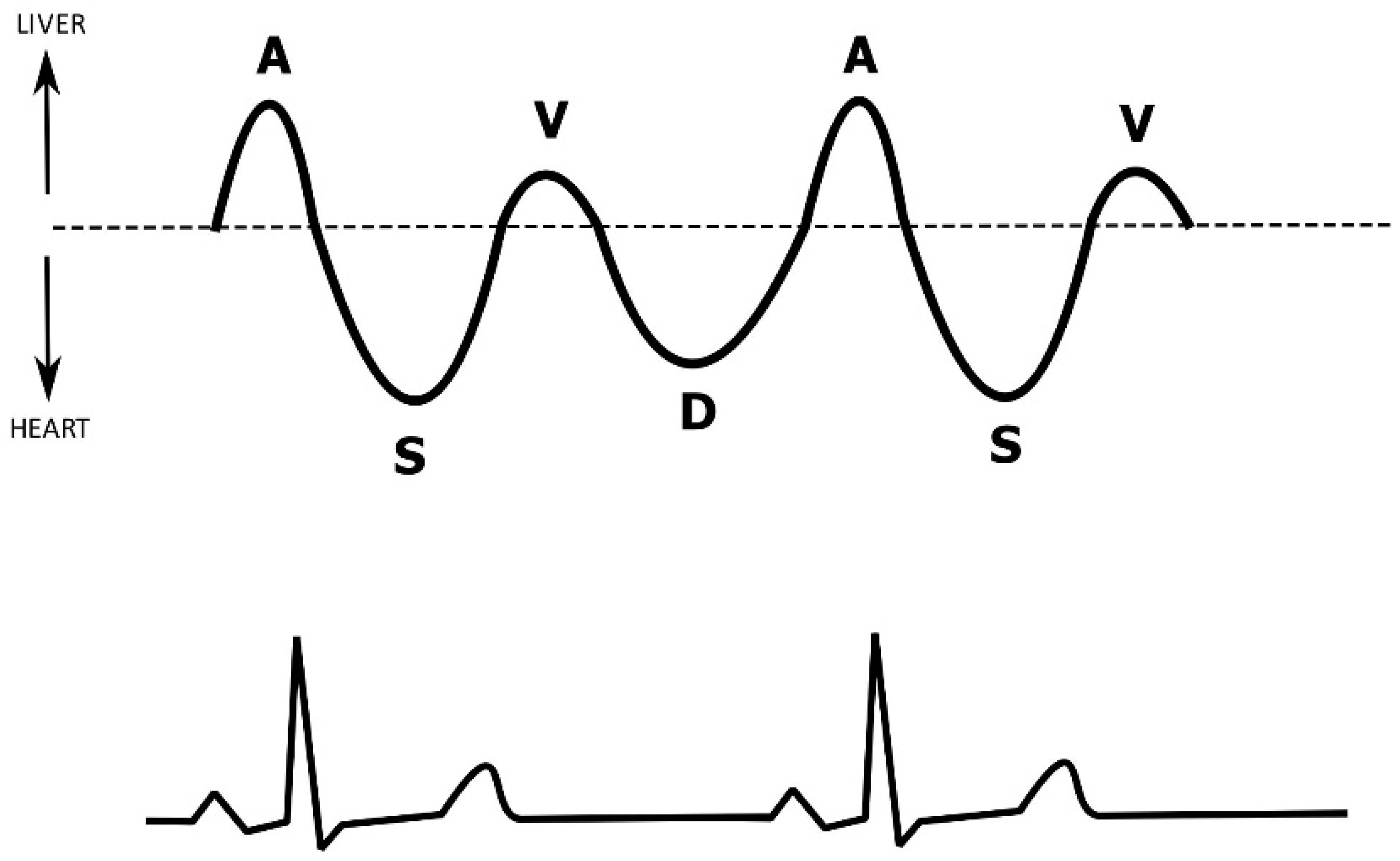 Diagnostics 12 00513 g003