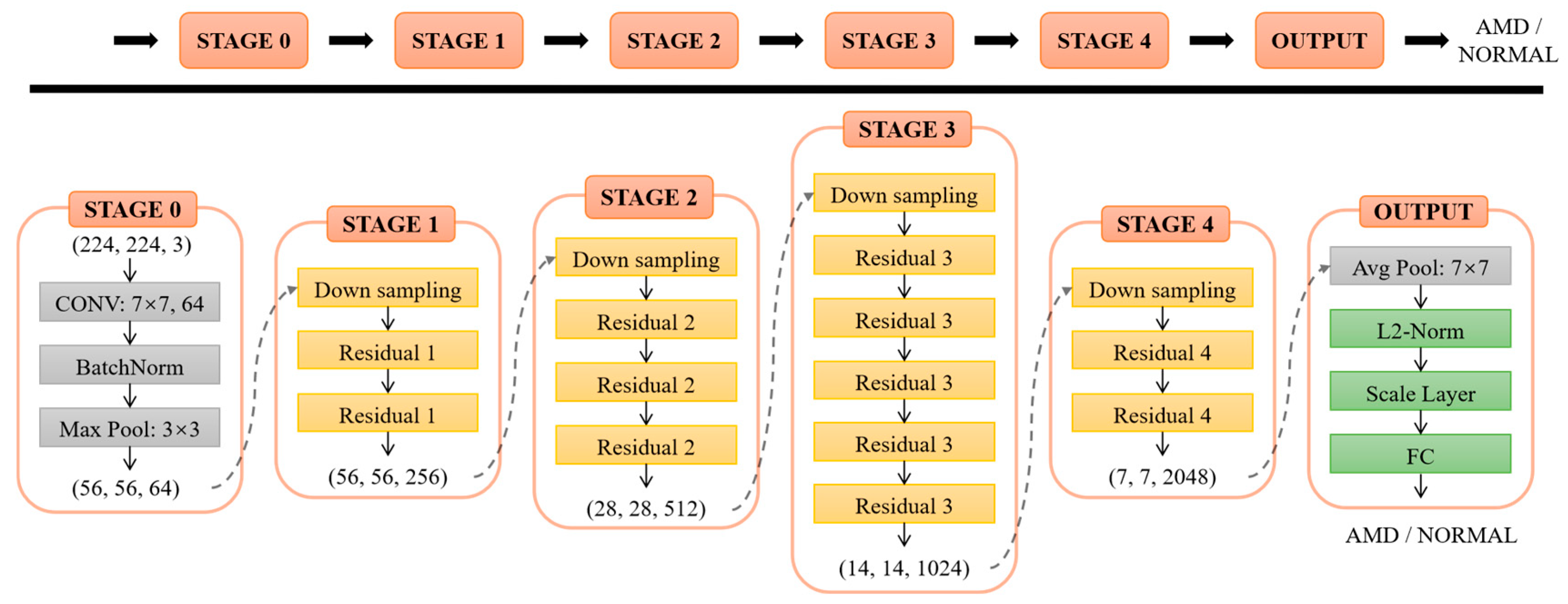 Diagnostics 12 00532 g003