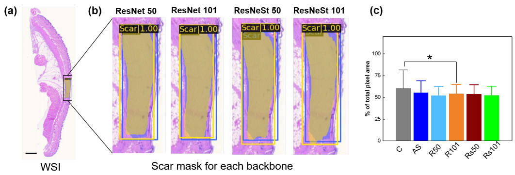Diagnostics 12 00534 g005