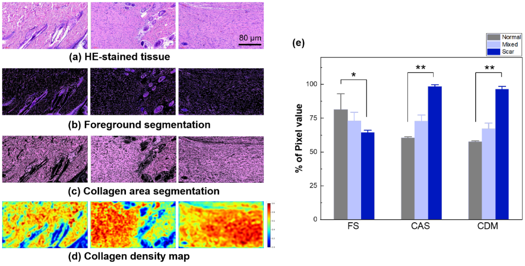 Diagnostics 12 00534 g007