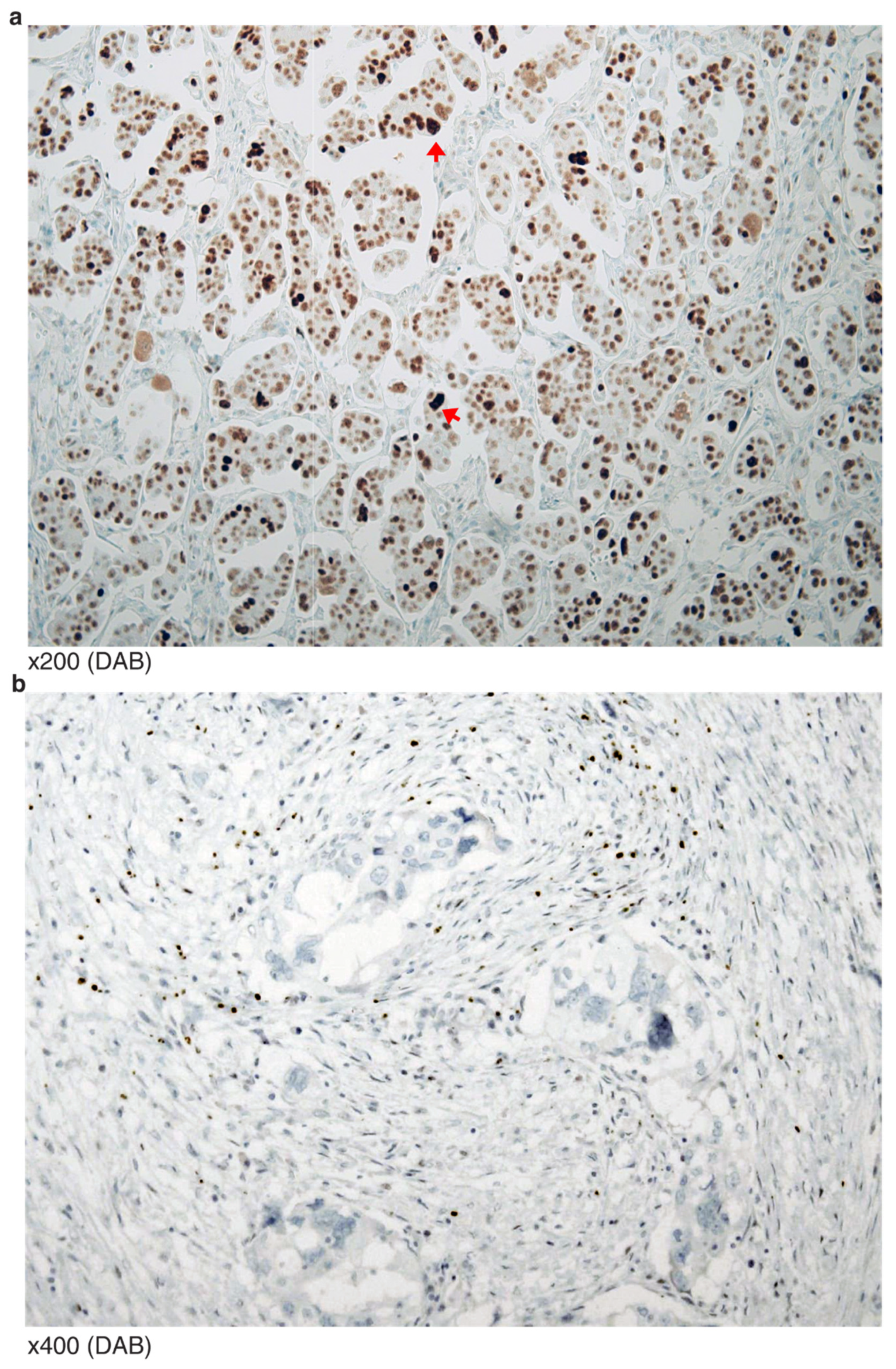 Diagnostics 12 00579 g002 Diagnostics 12 00579 g002