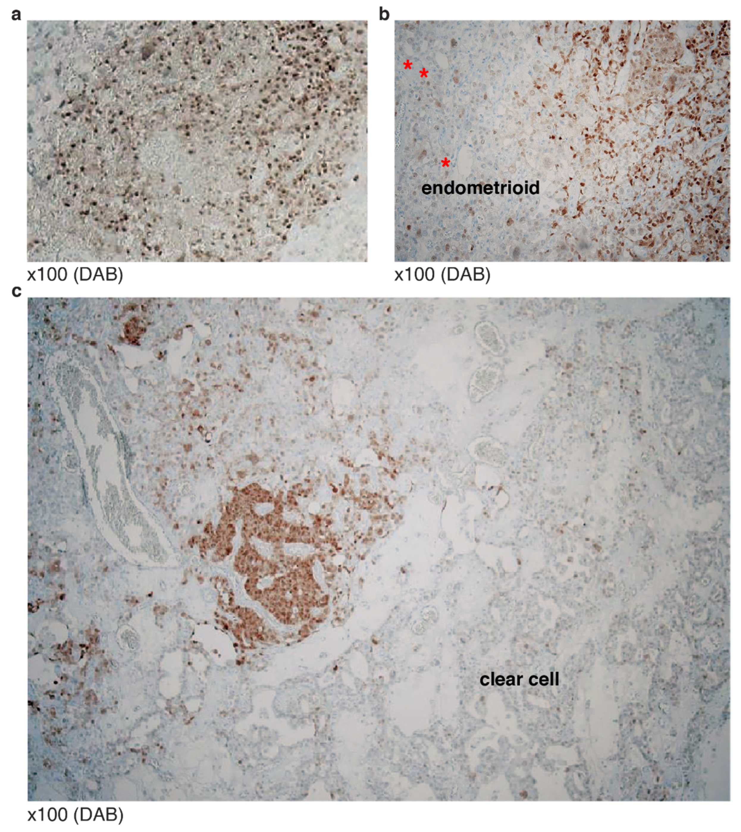 Diagnostics 12 00579 g007 Diagnostics 12 00579 g007