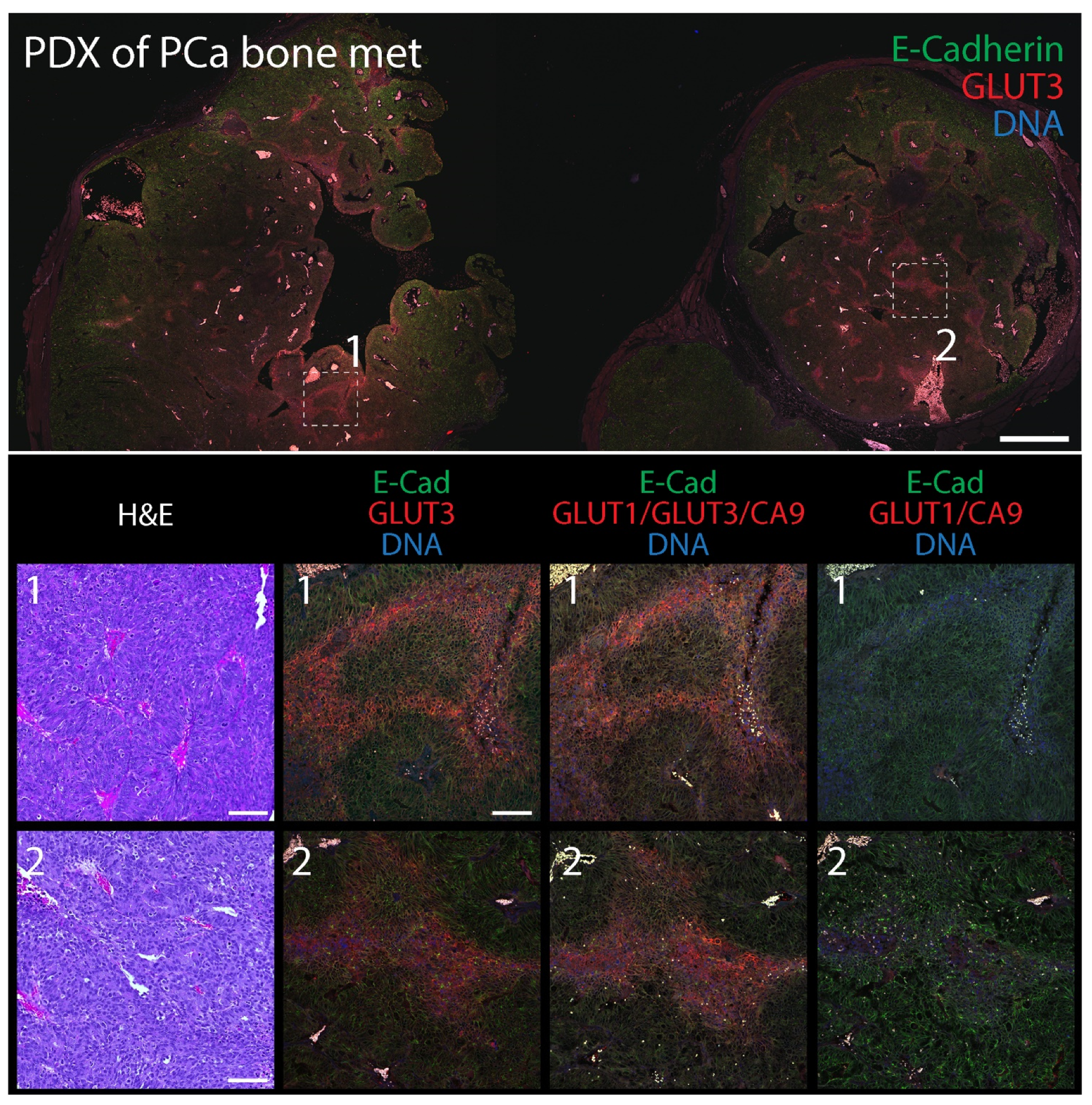 Diagnostics 12 00676 g007