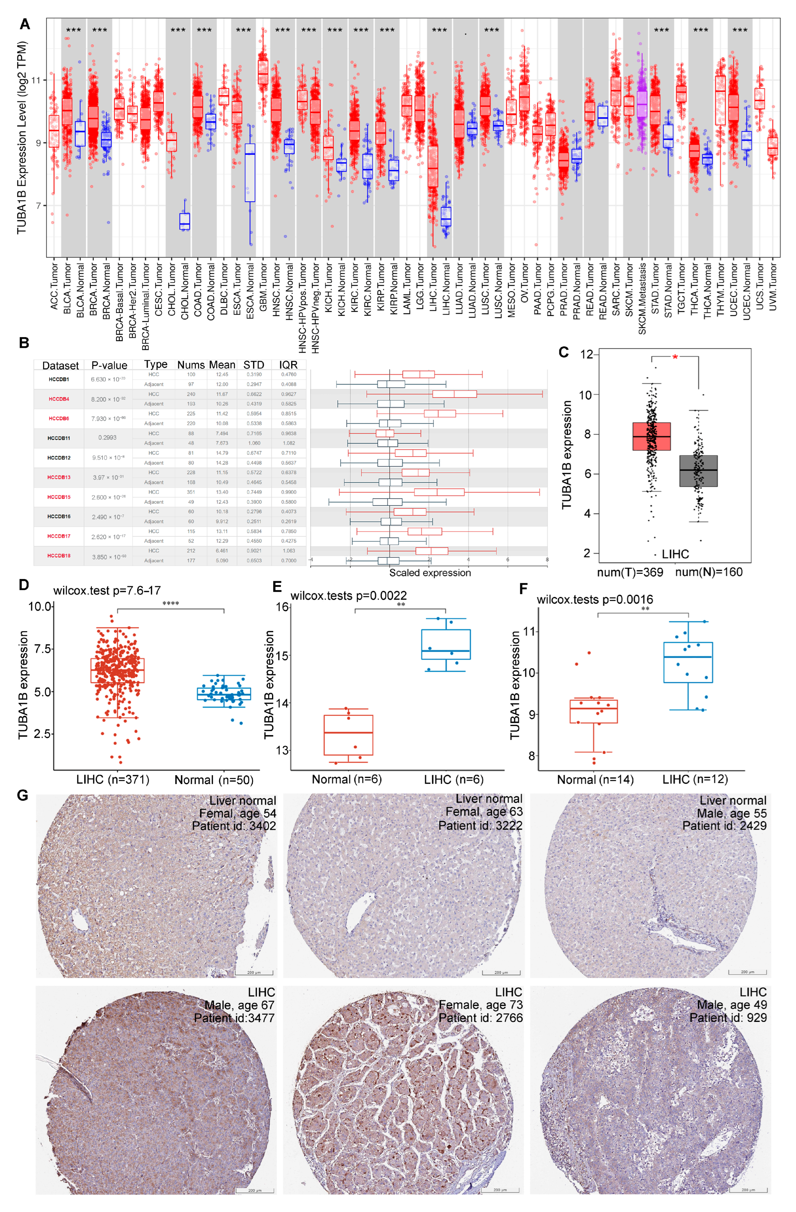 Diagnostics 12 00858 g001