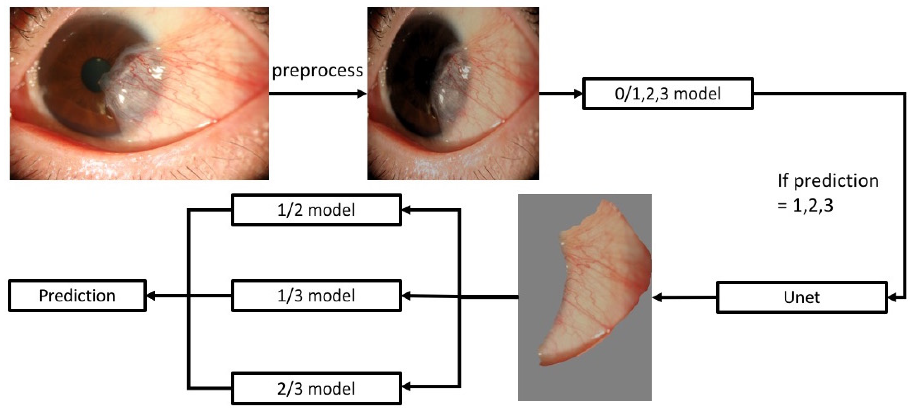 Diagnostics 12 00888 g001