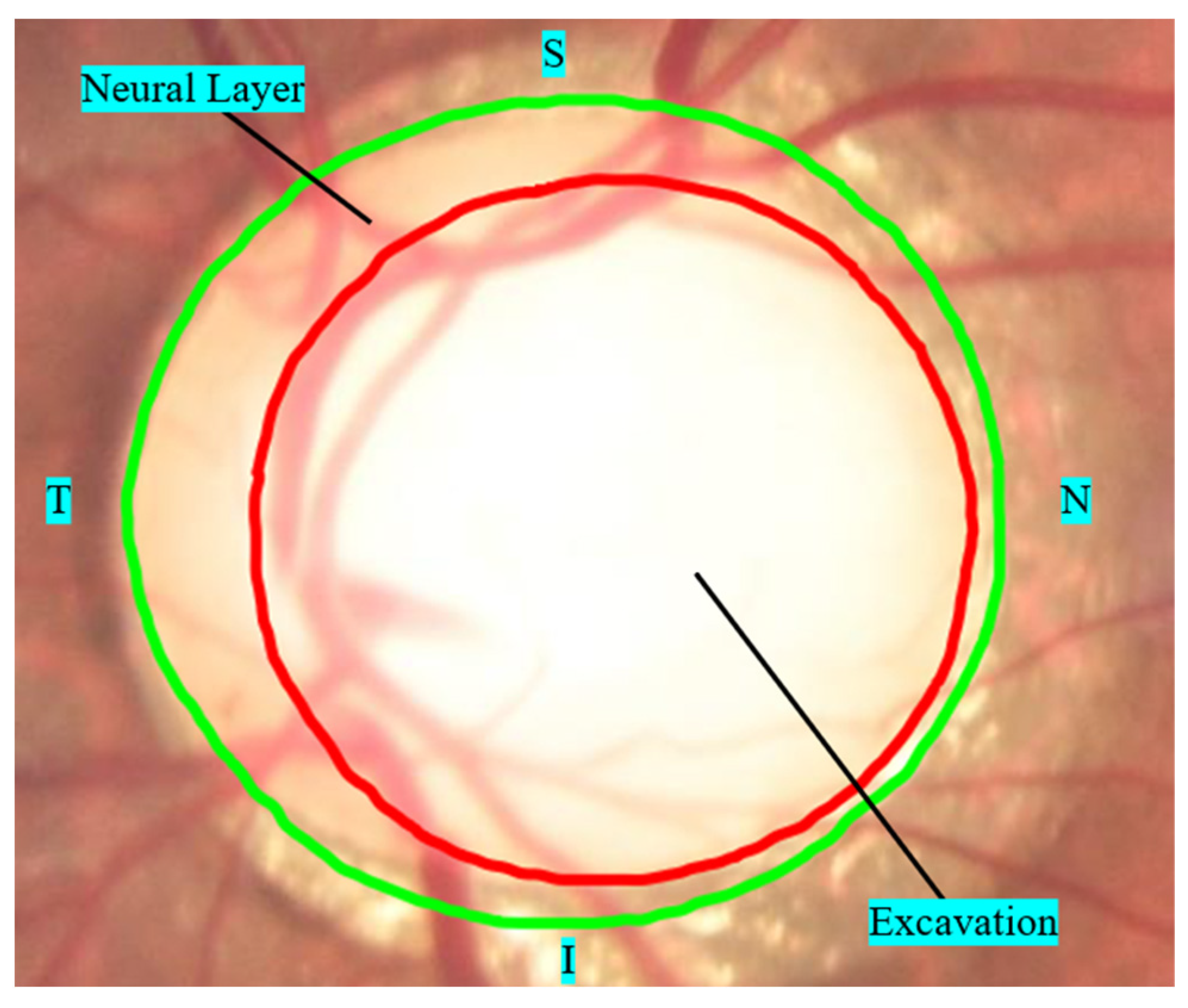 Diagnostics 12 00935 g003