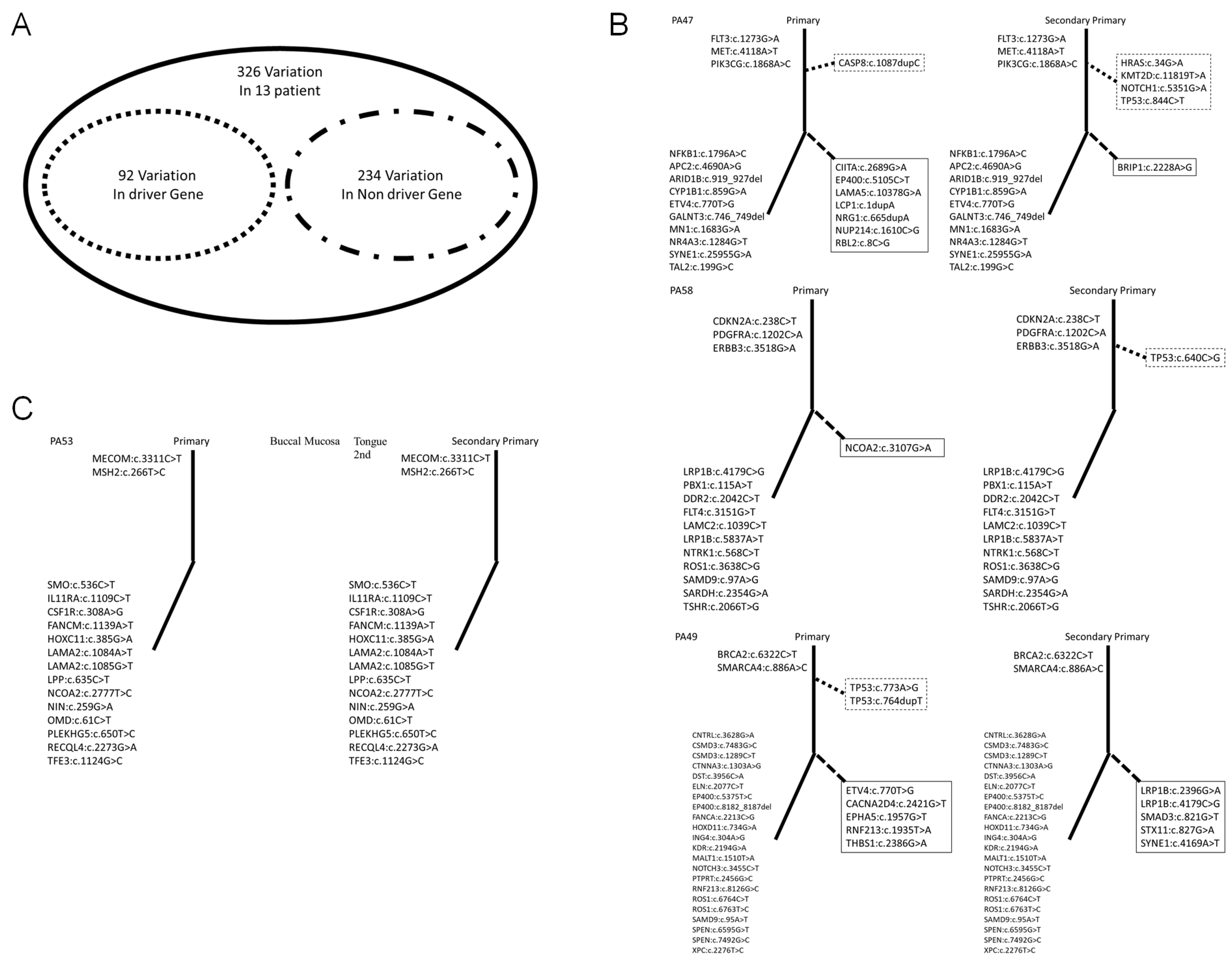 Diagnostics 12 00951 g003