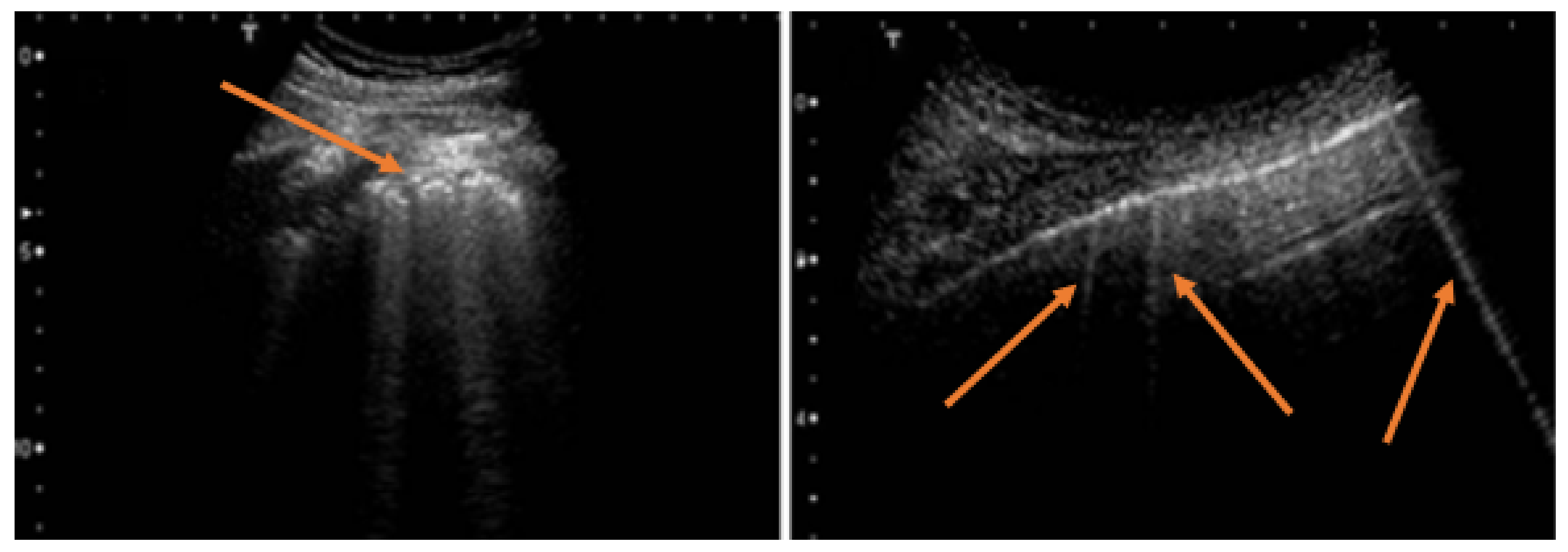 Diagnostics 12 00952 g002