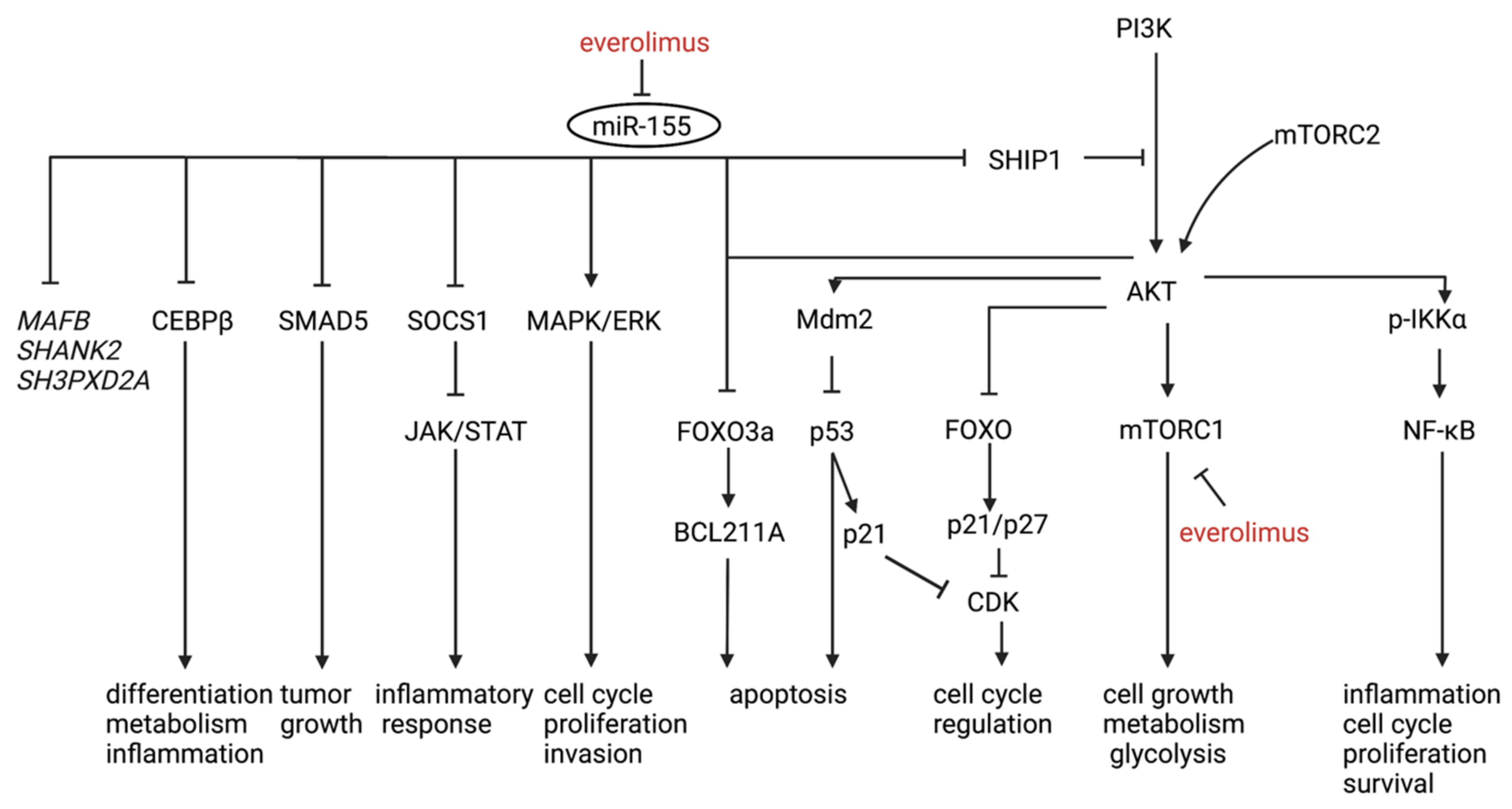 Diagnostics 12 00969 g003 Diagnostics 12 00969 g003