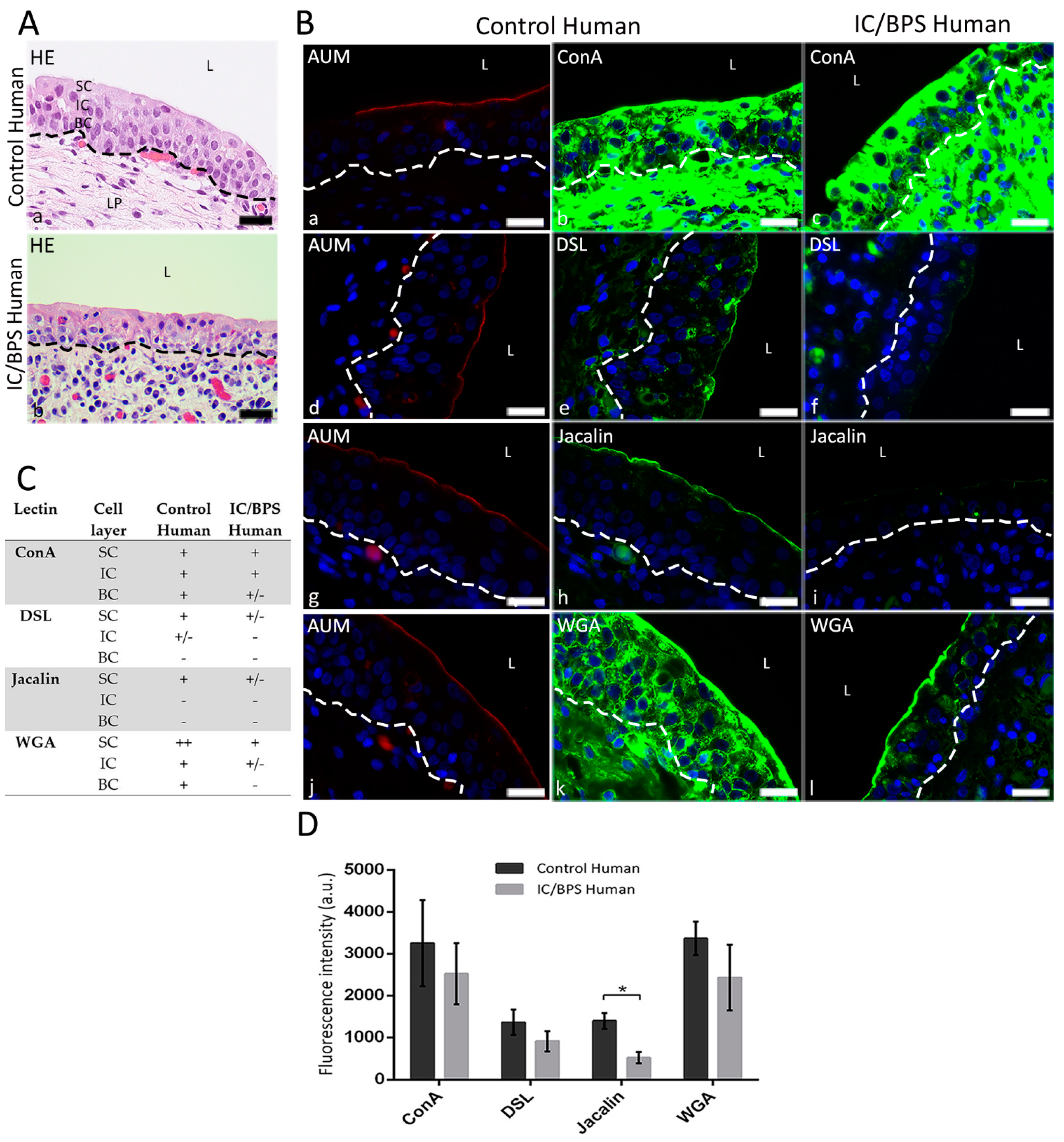 Diagnostics 12 01078 g002