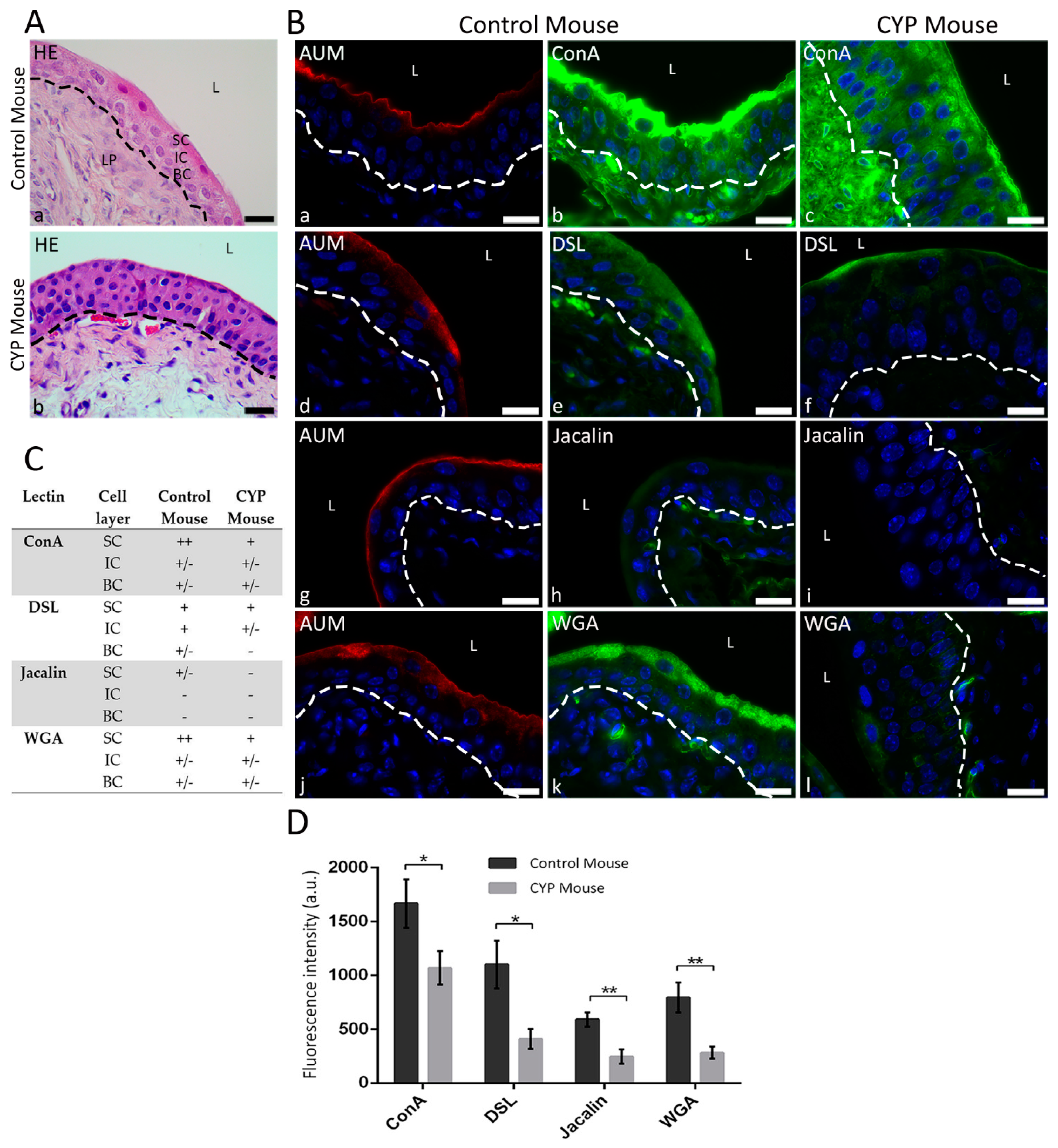 Diagnostics 12 01078 g003