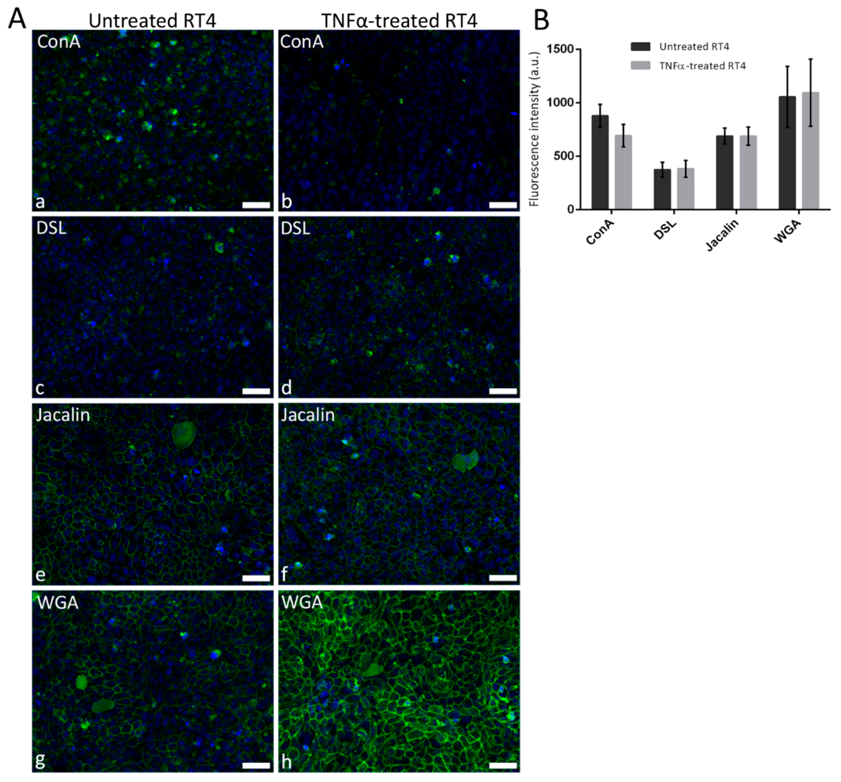 Diagnostics 12 01078 g004