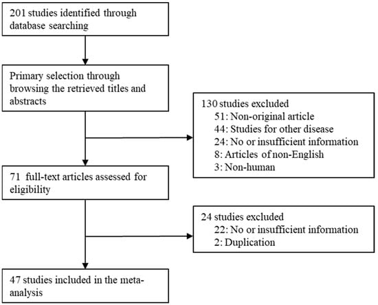 Clinicopathological Characteristics and Prognosis of 91 Patients