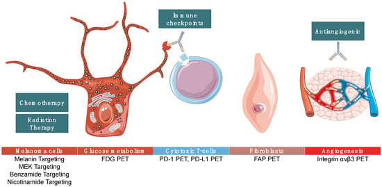 Recent advances of targeting nicotinamide