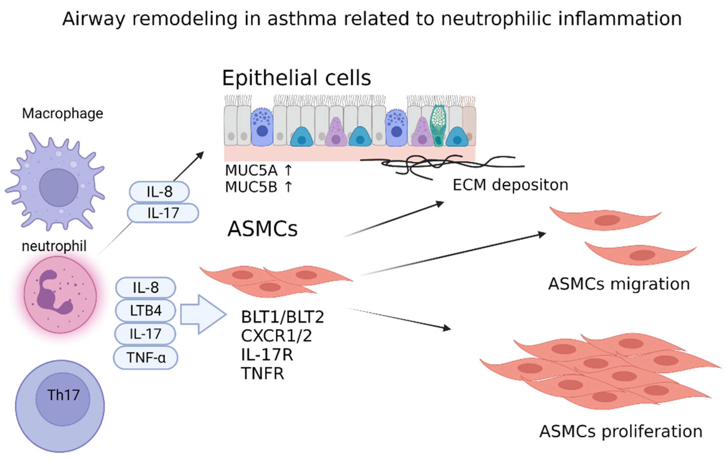 Diagnostics 12 01175 g002