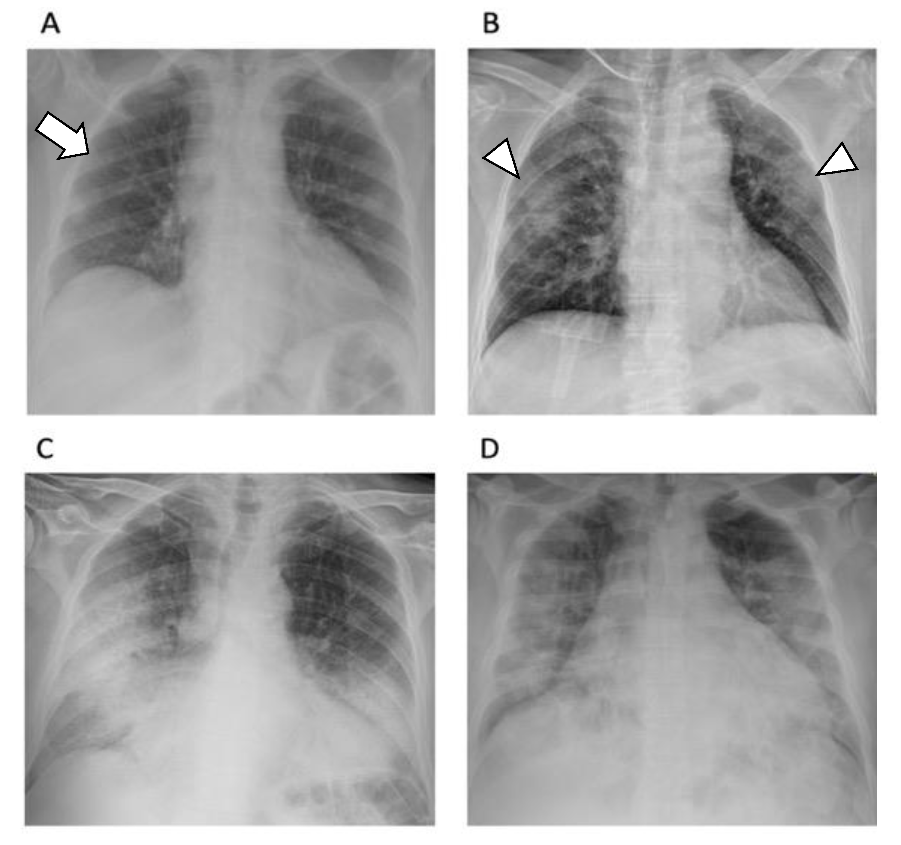 Diagnostics 12 01188 g003